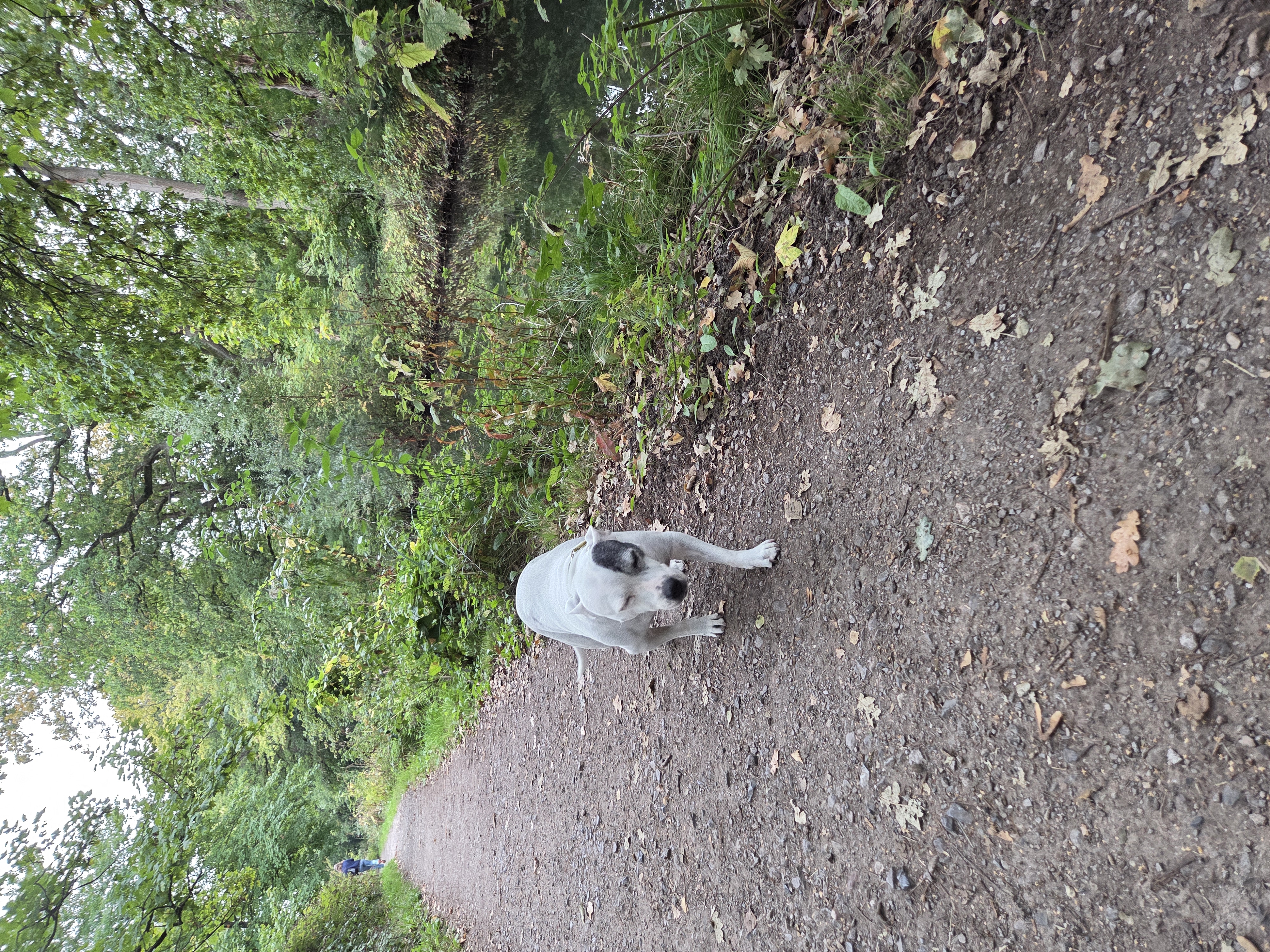 image-16