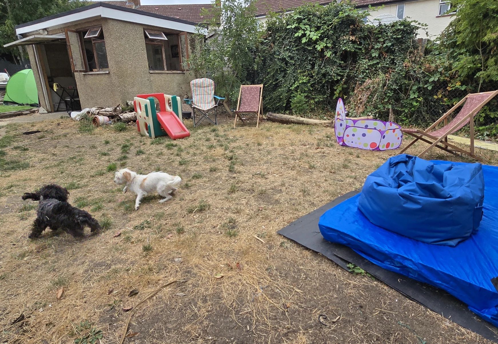 image-27