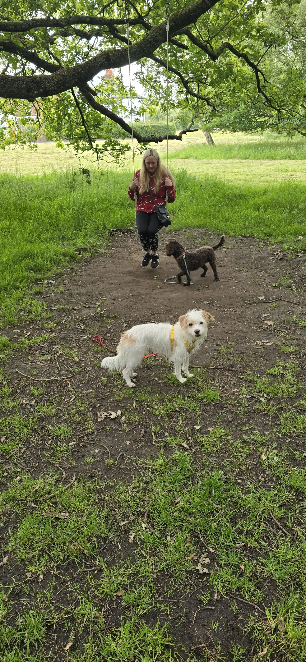 image-2