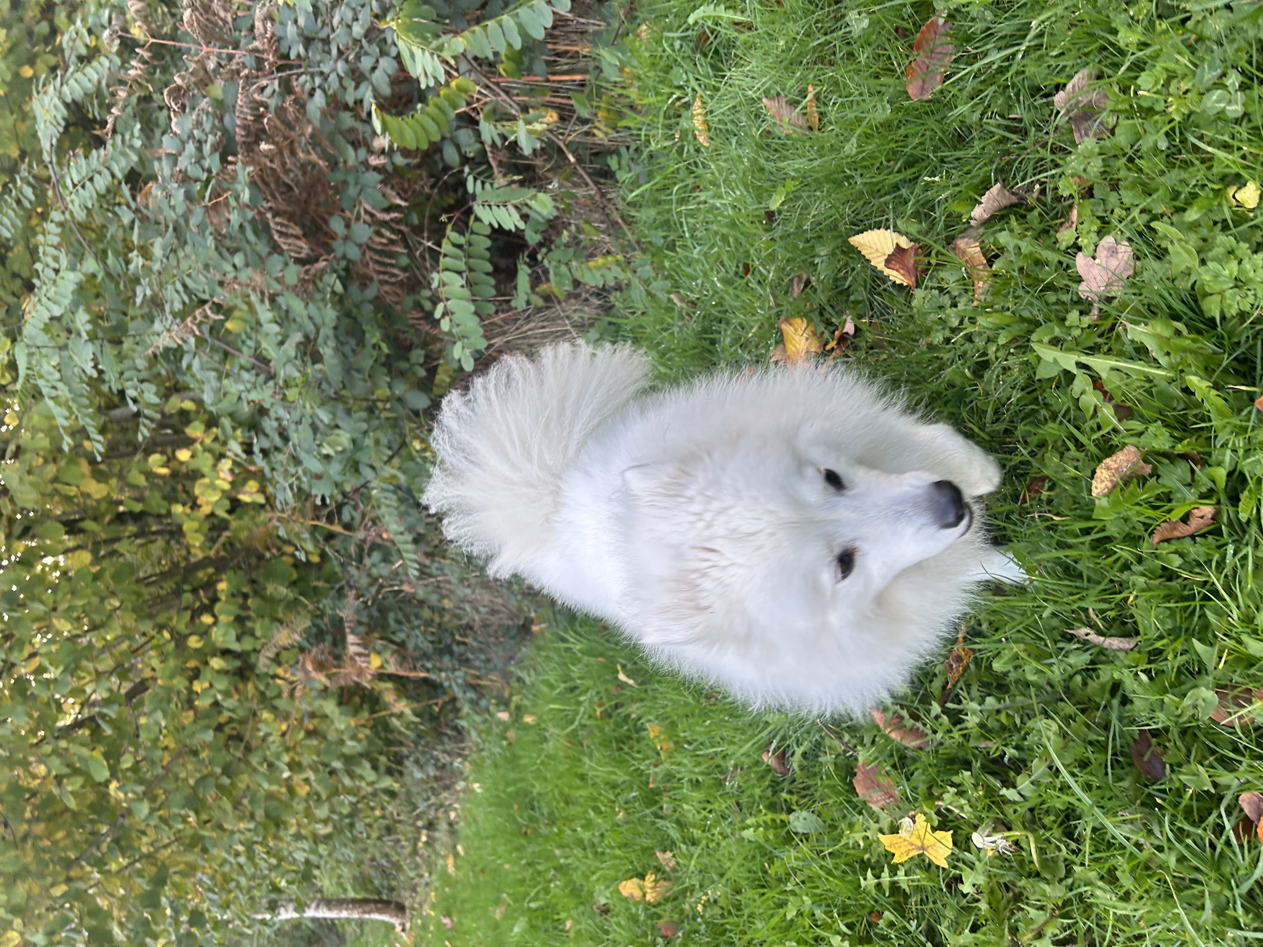 image-4