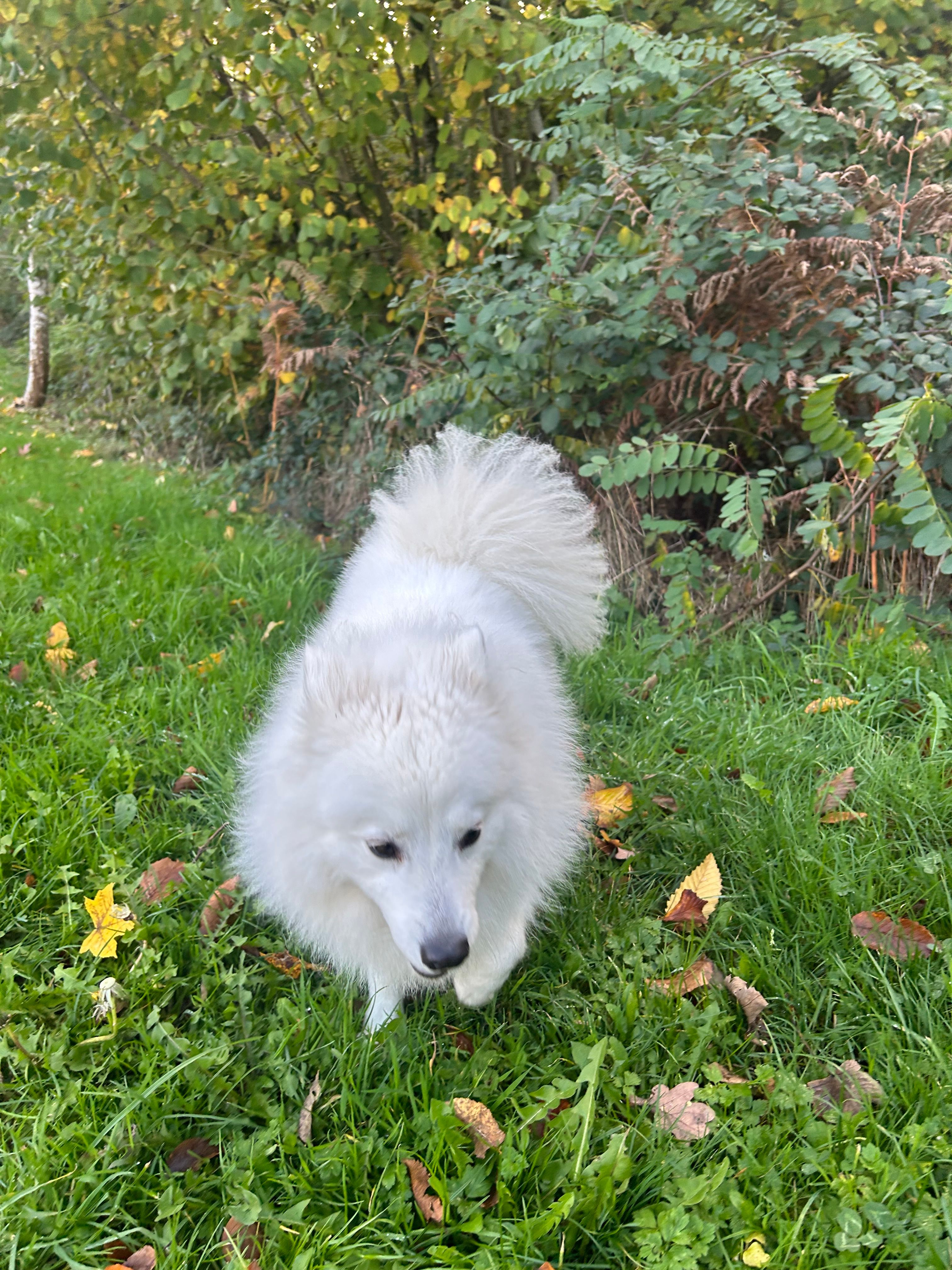 image-4
