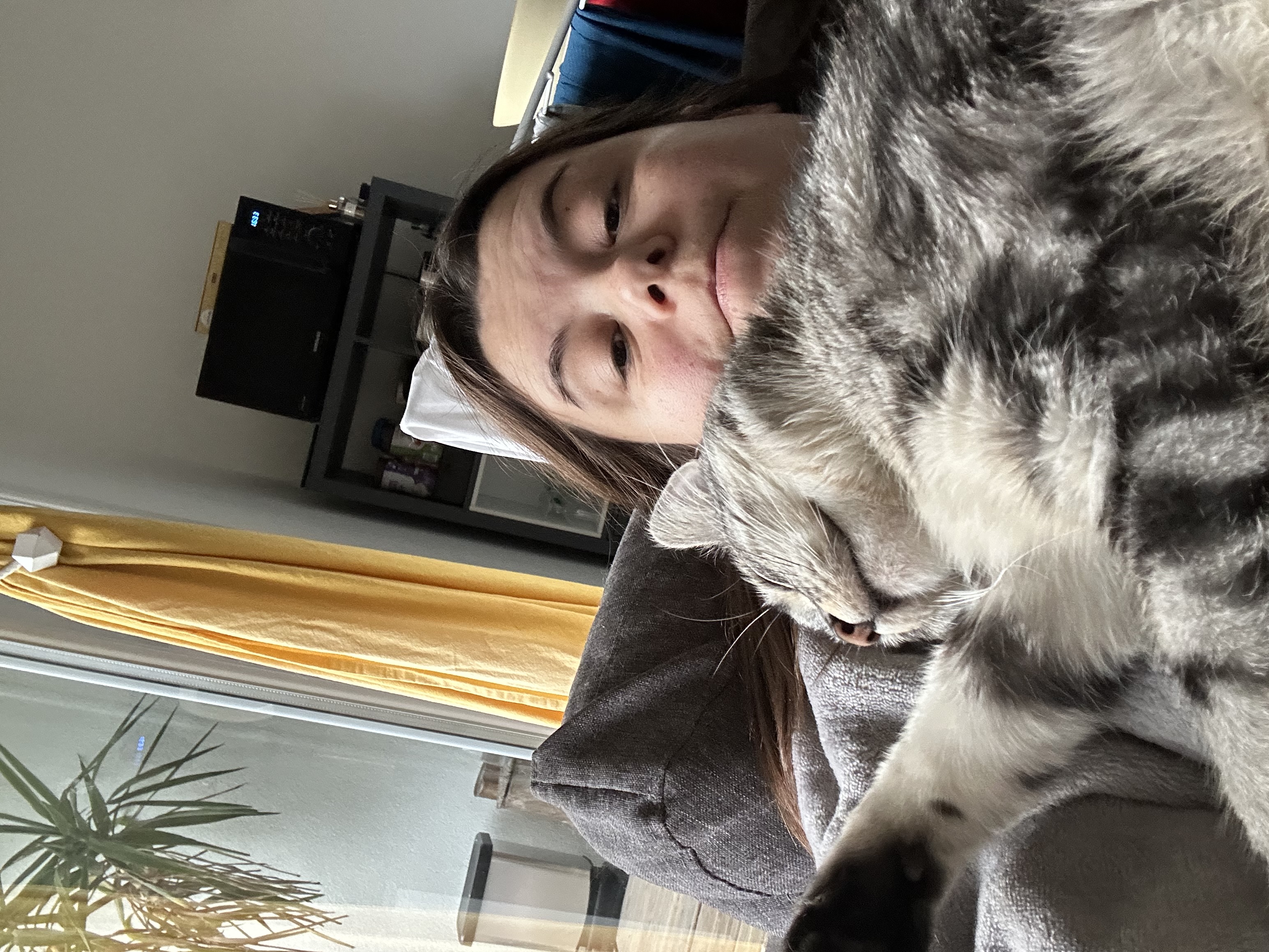 image-6