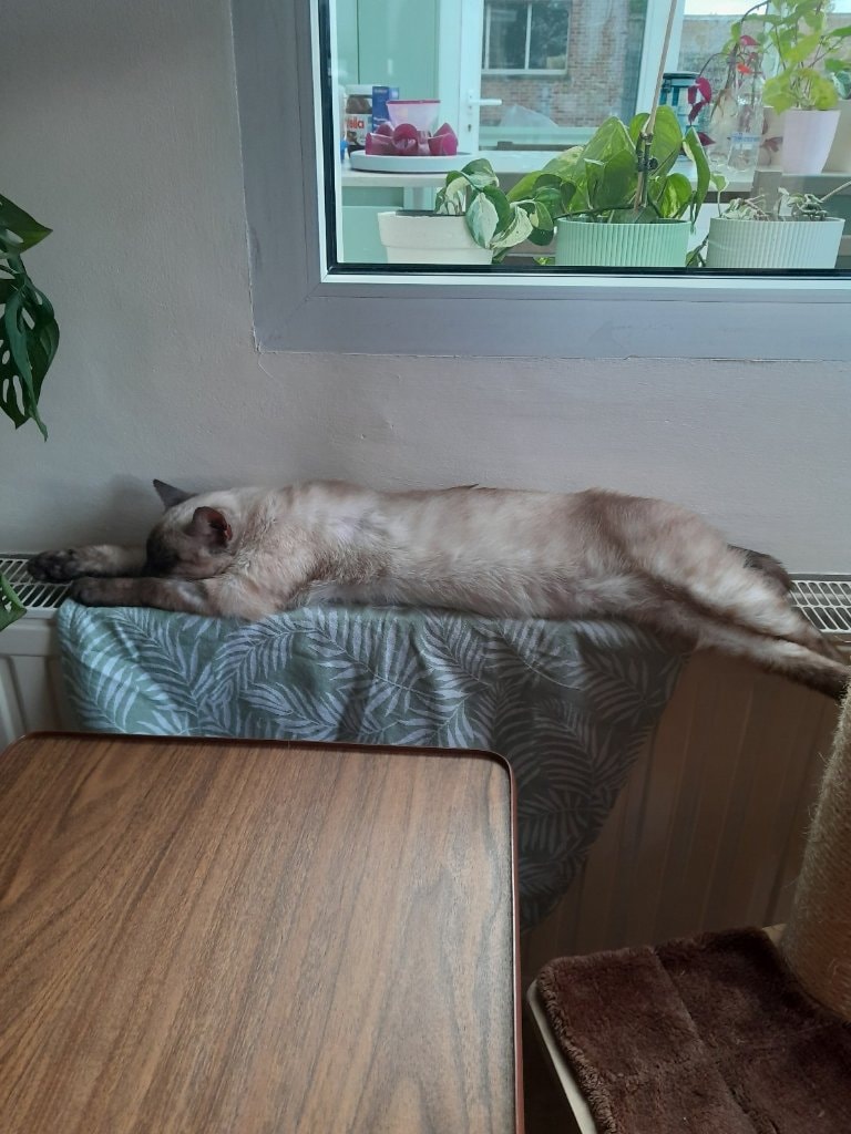 image-27
