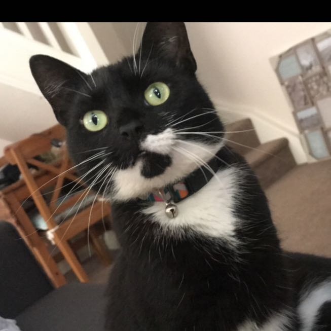Jessie
