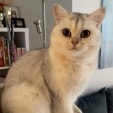 Sugar
