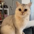 Sugar