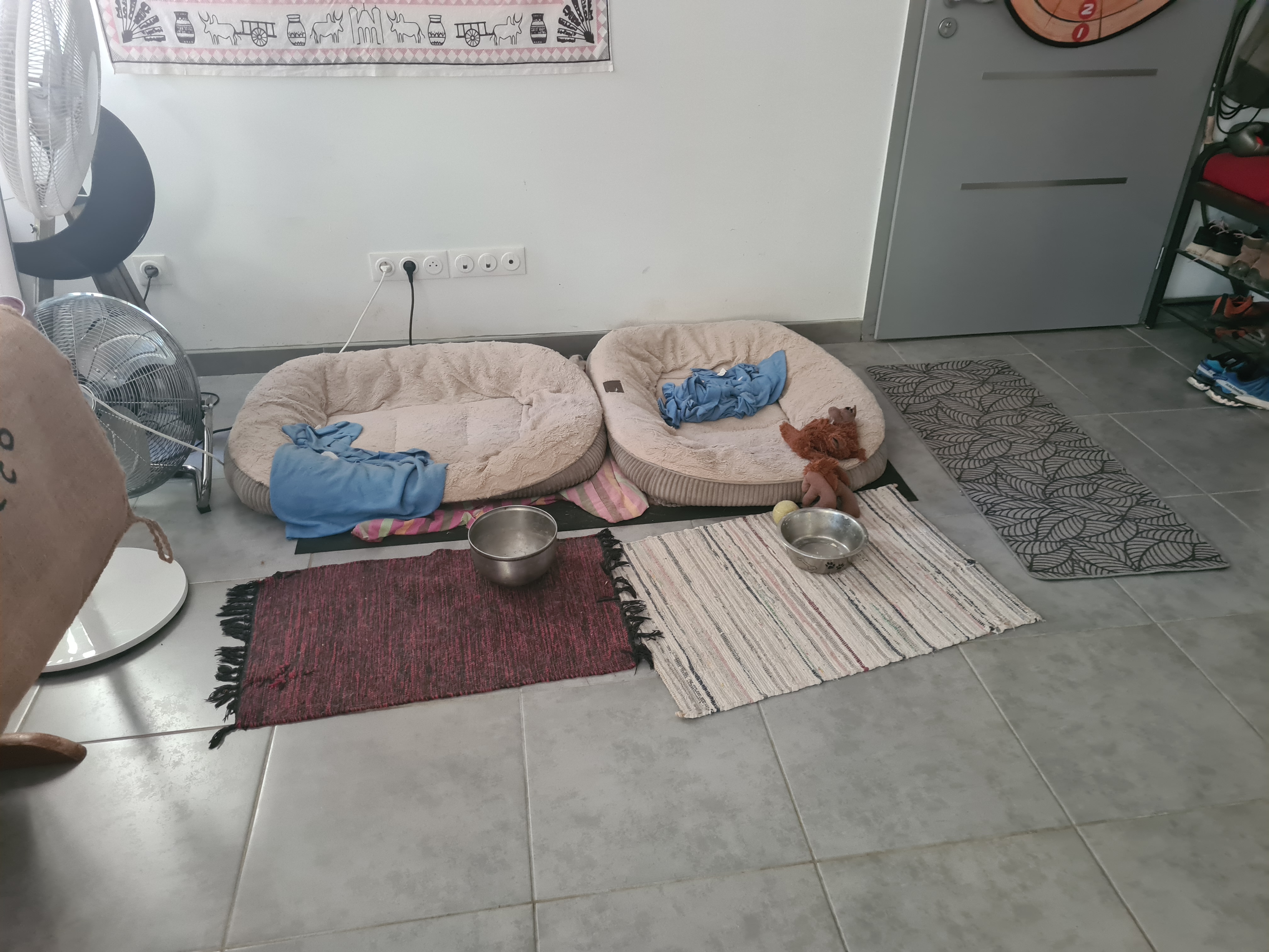 image-20