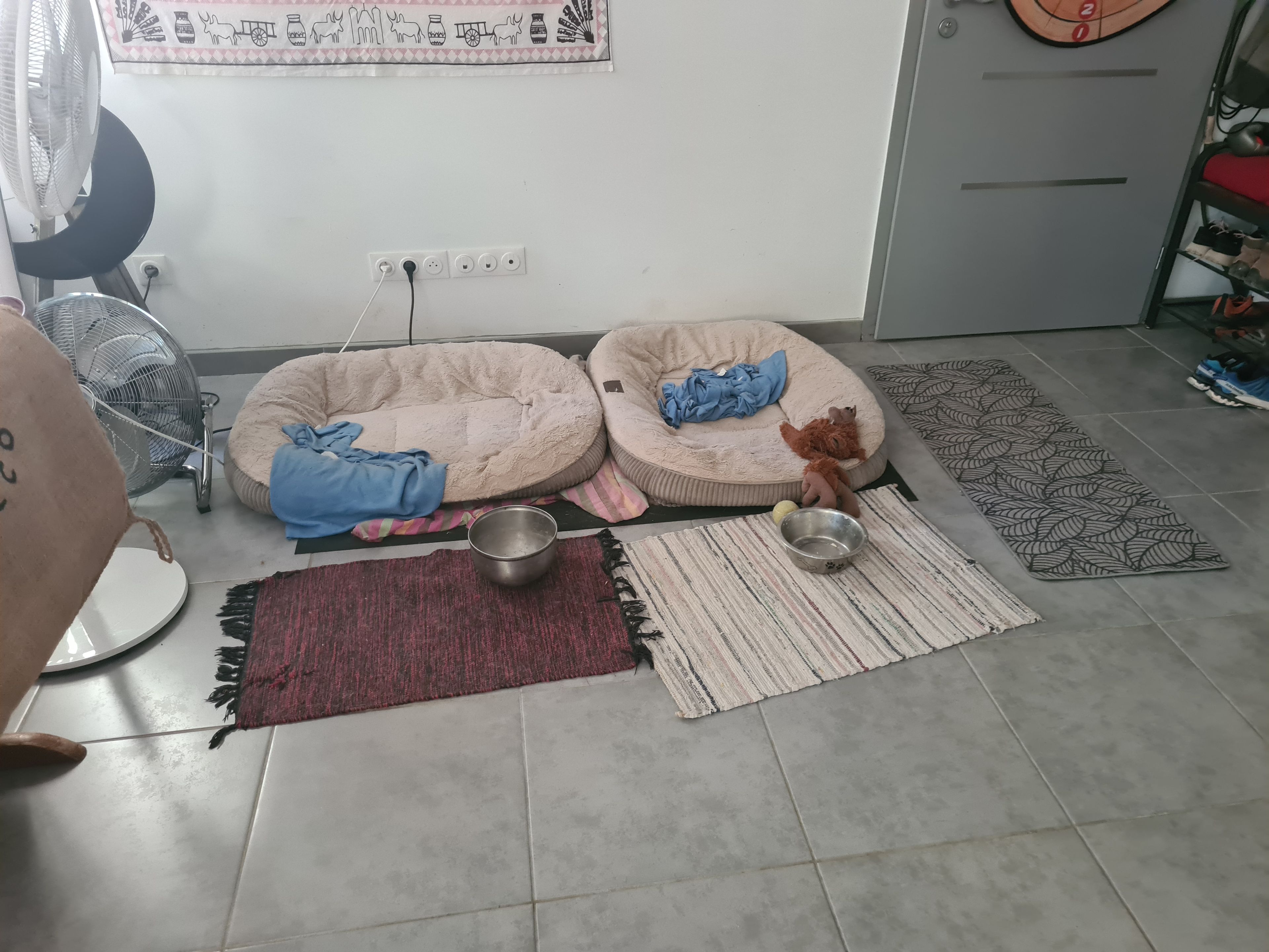 image-20