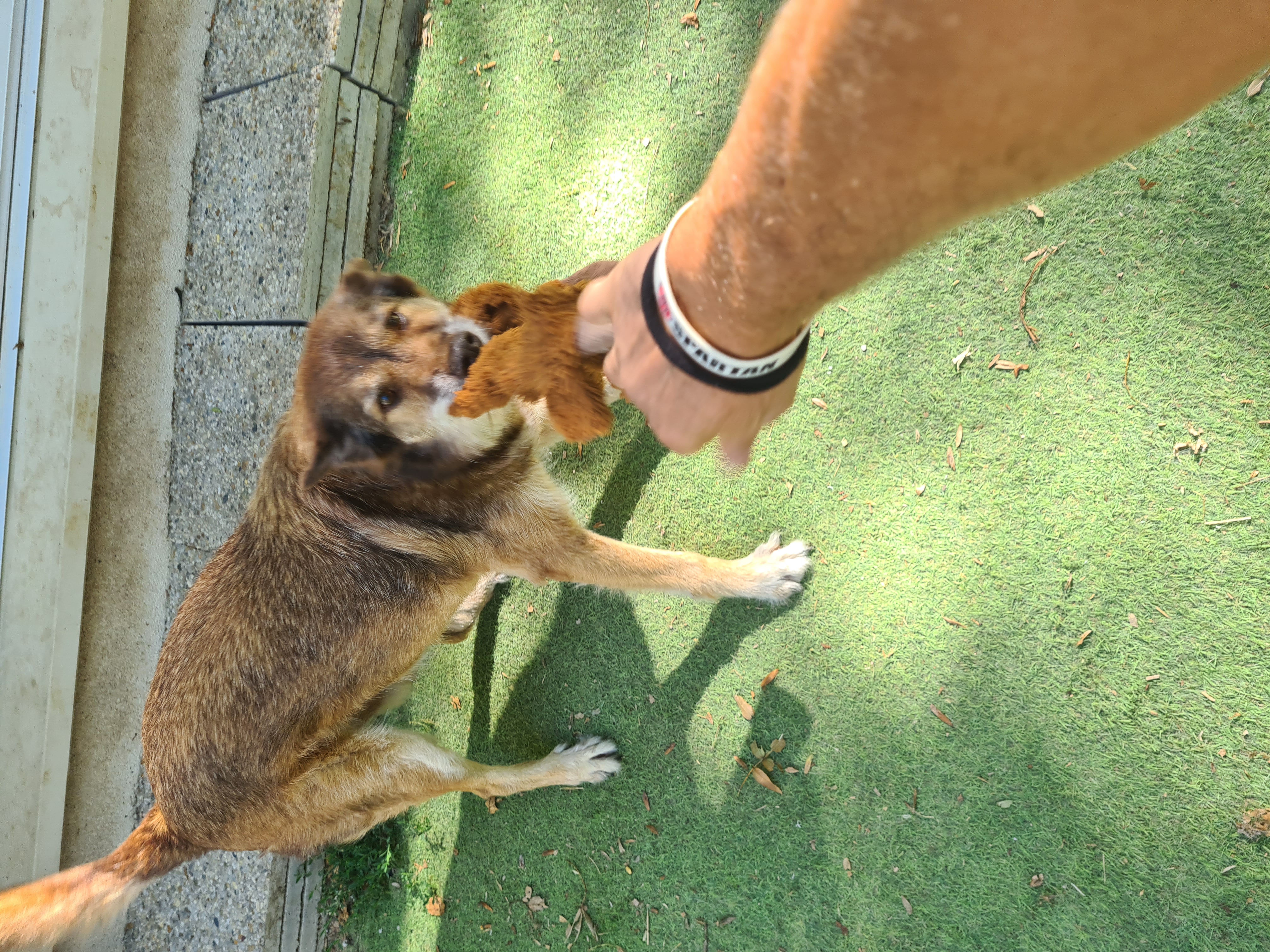 image-4