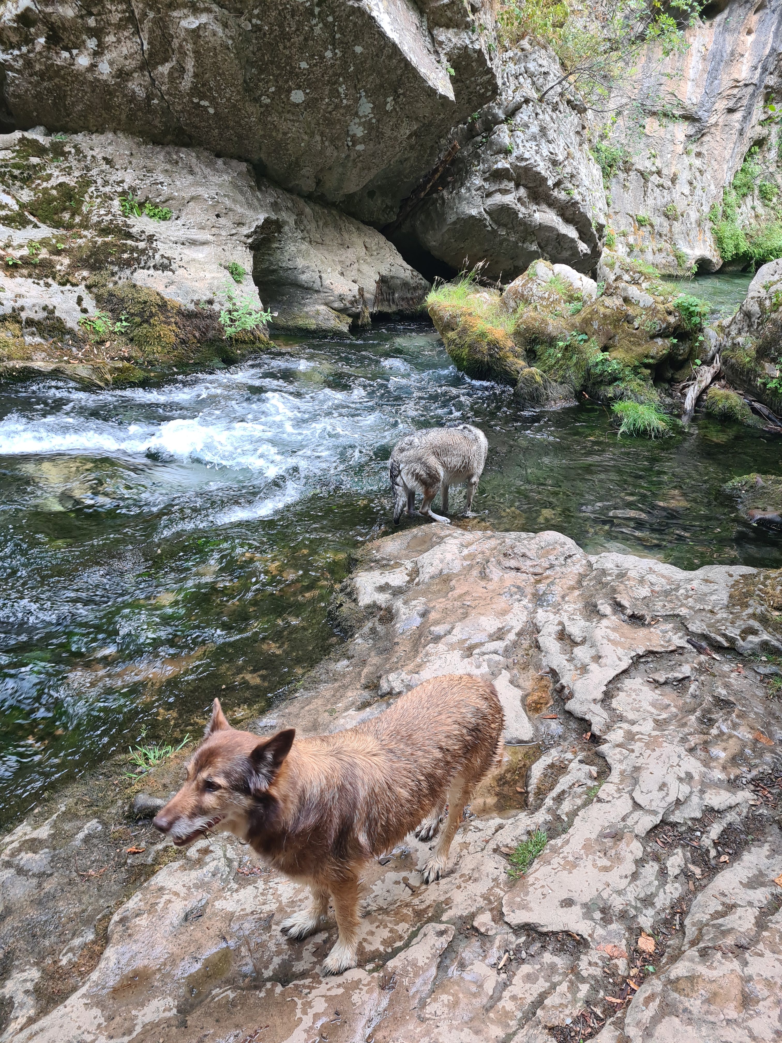 image-9