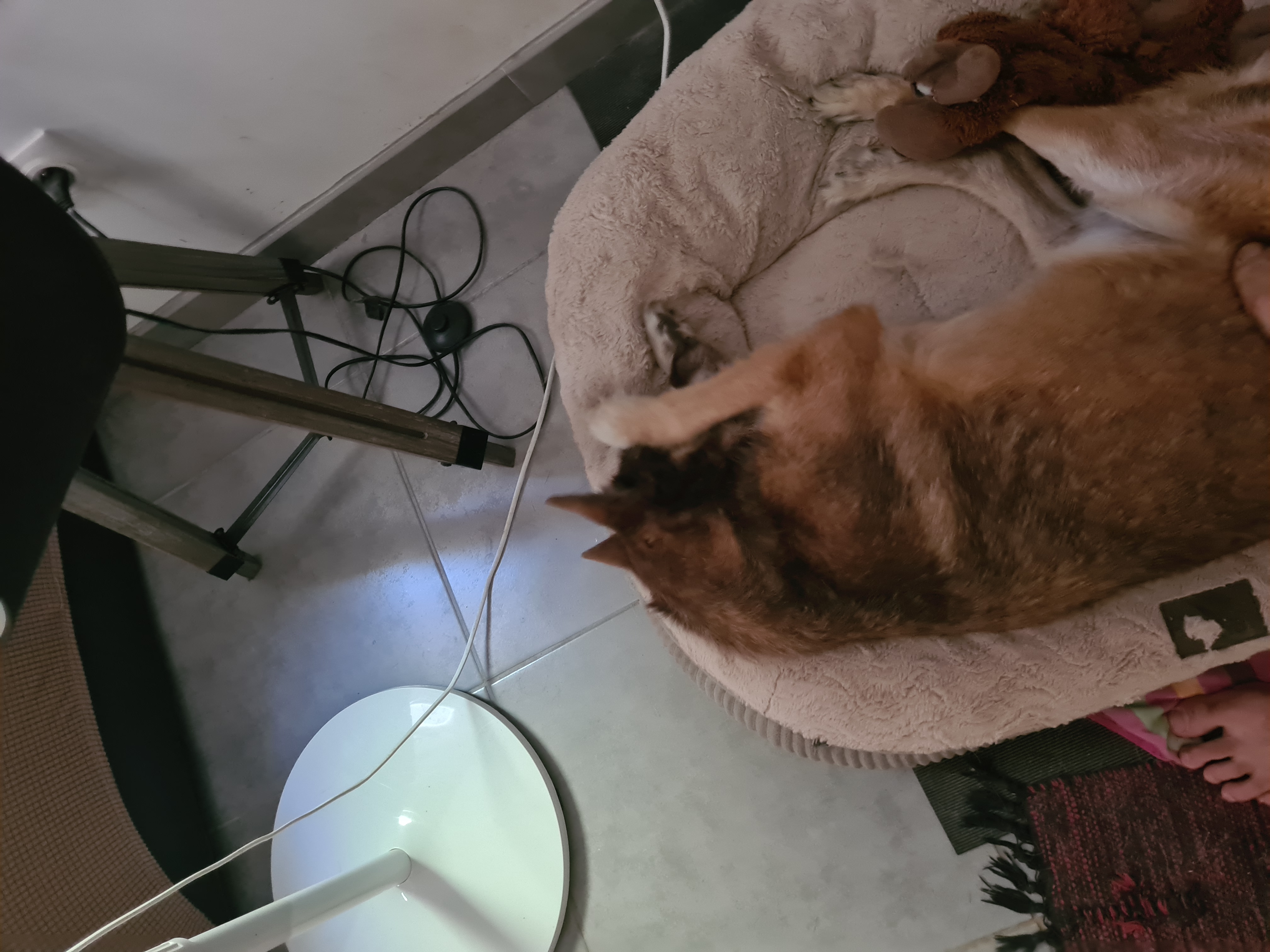 image-13