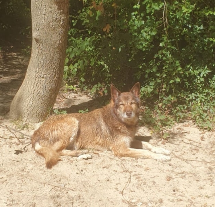 image-11