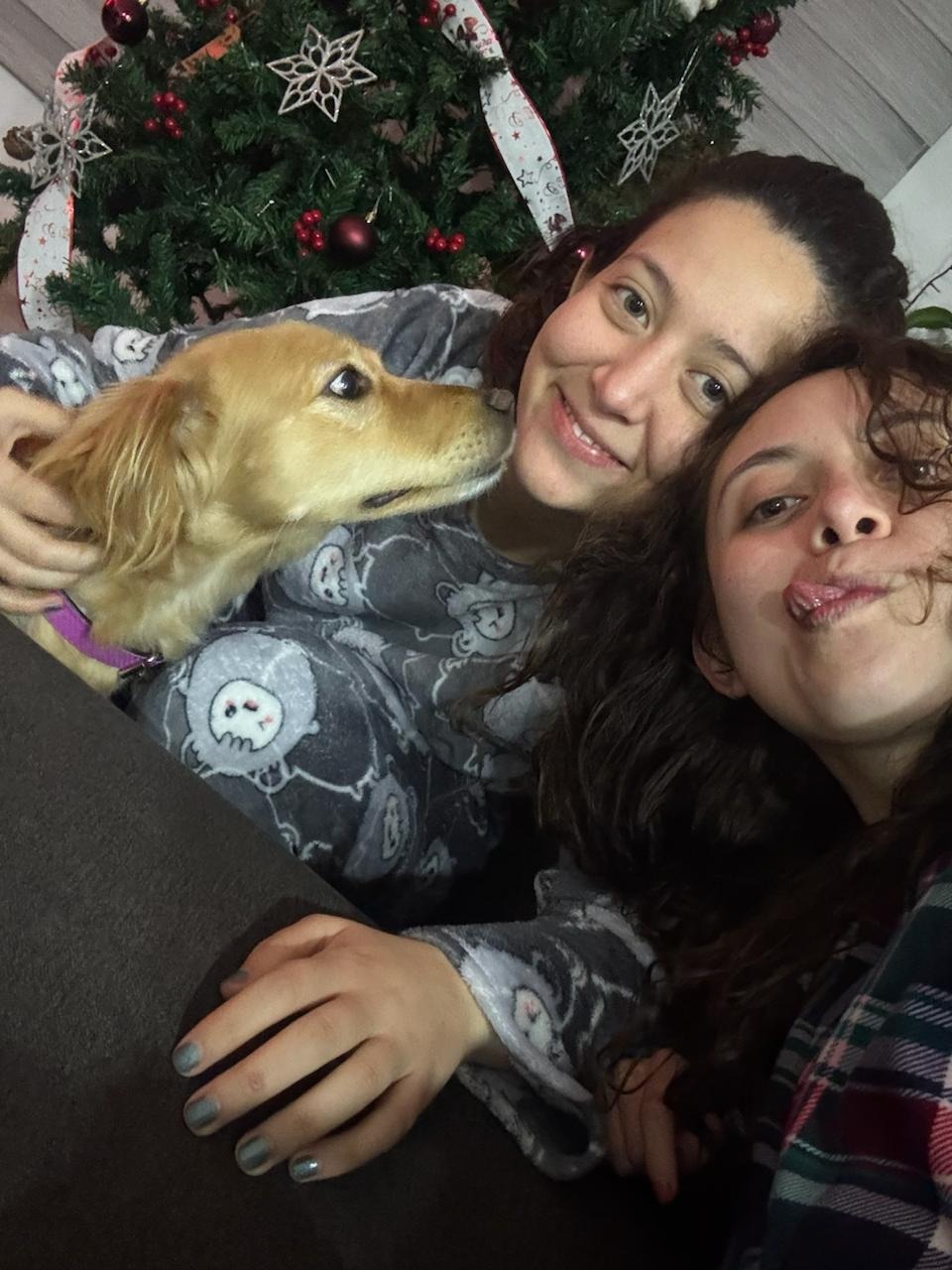 image-7