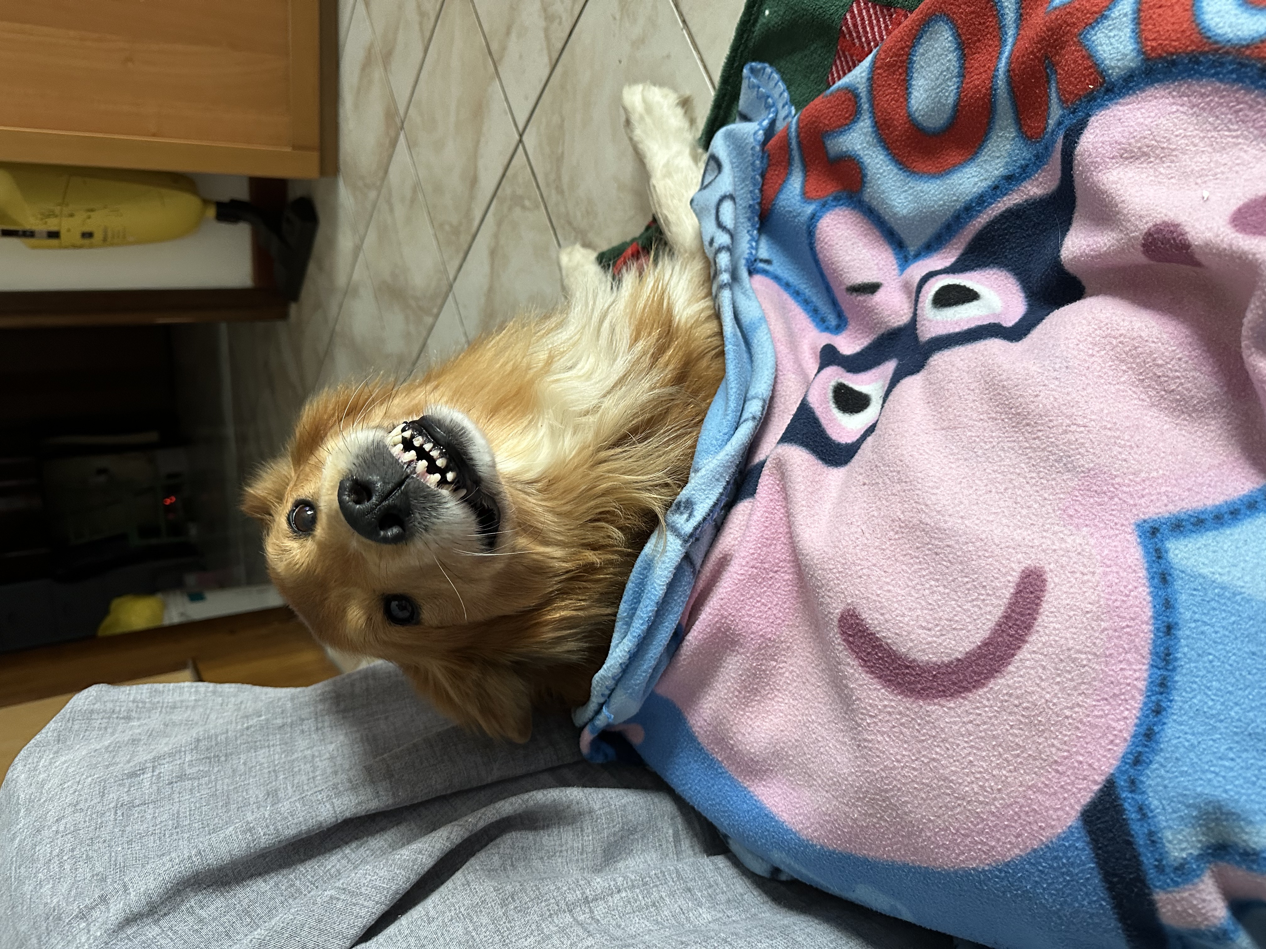 image-7