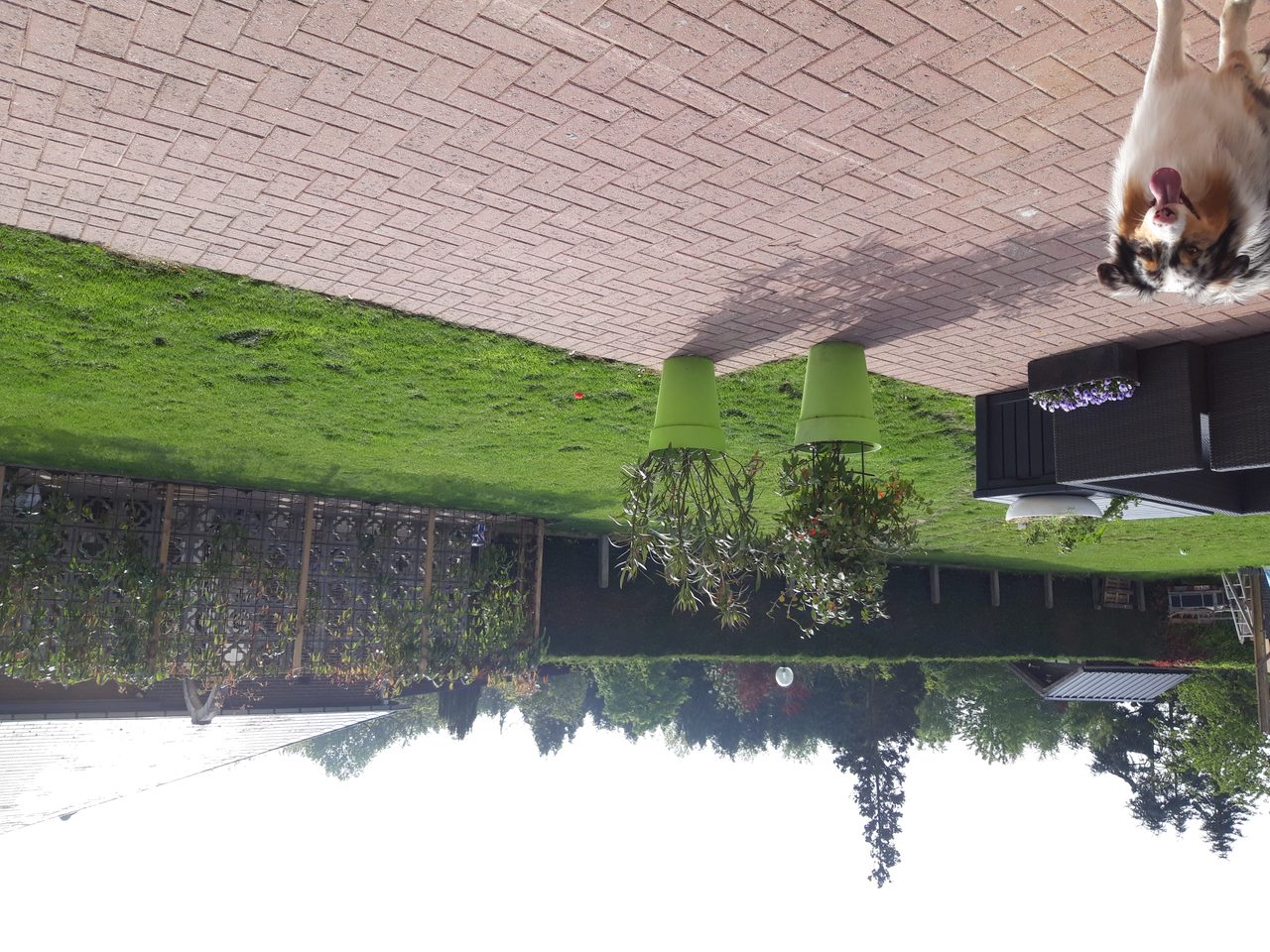 image-13