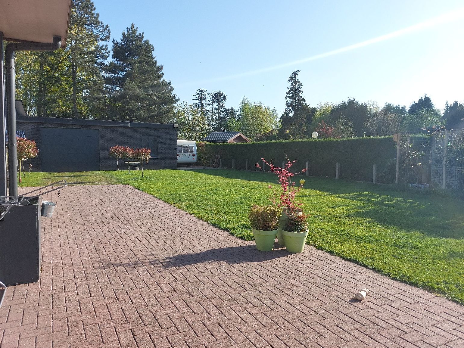 image-12