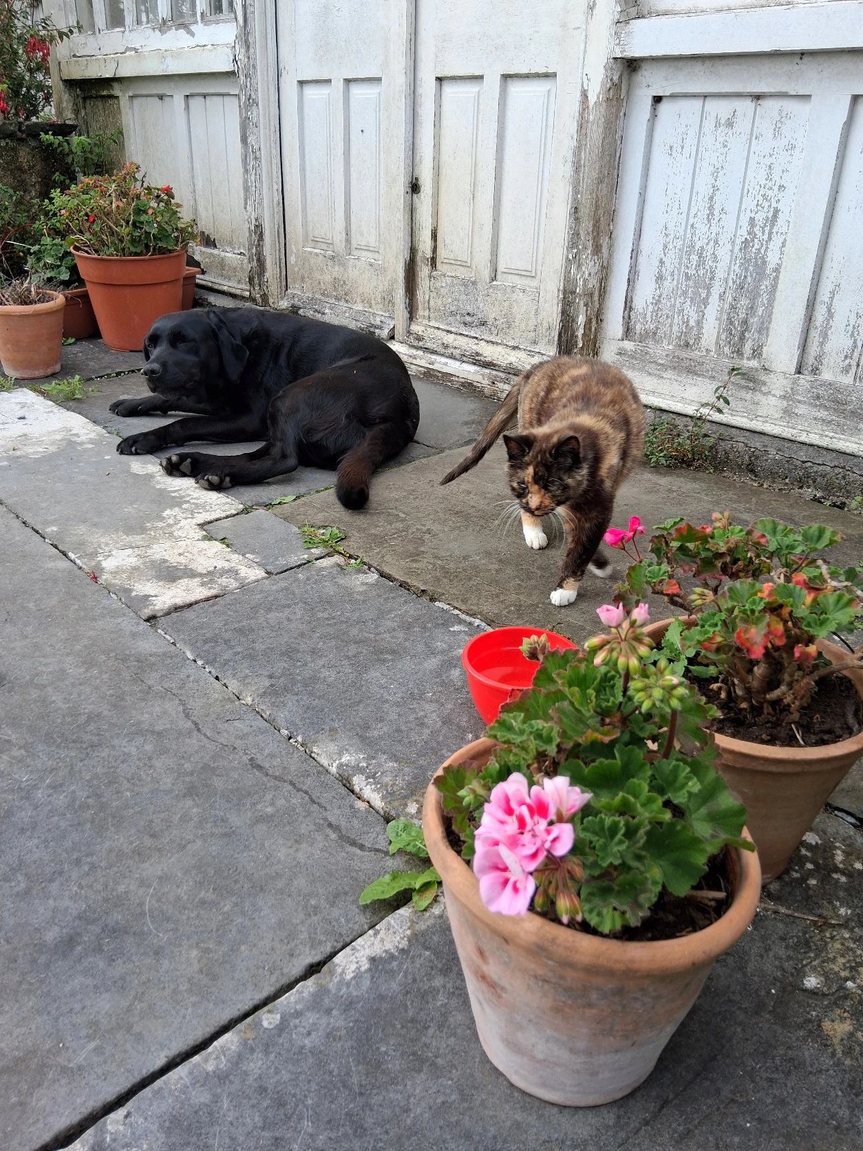 image-7