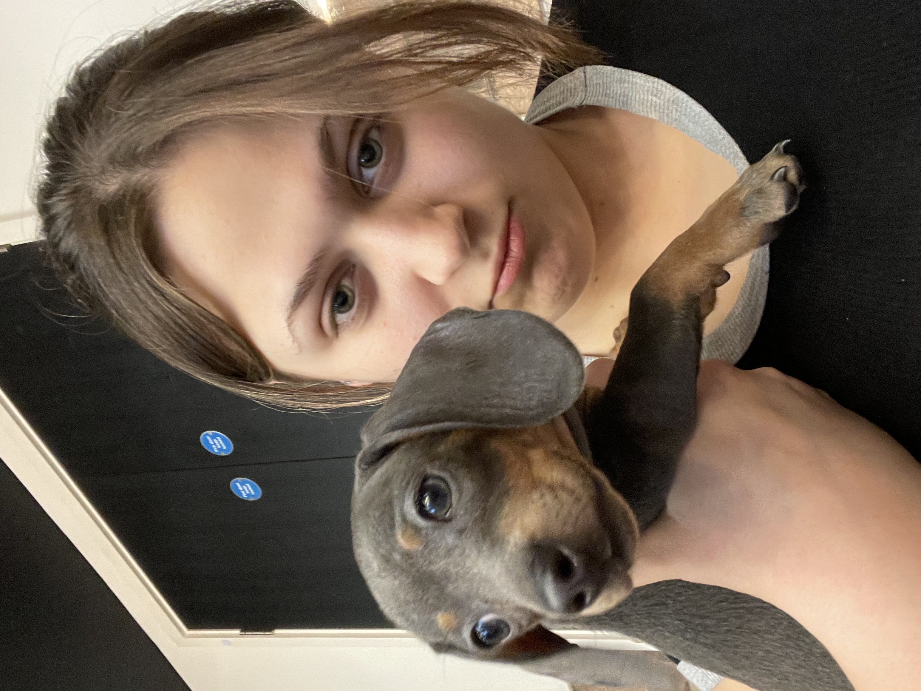 image-6