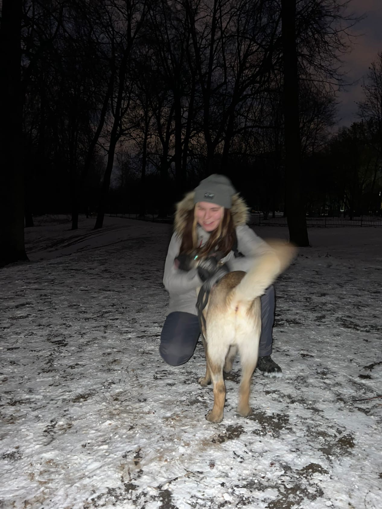 image-5