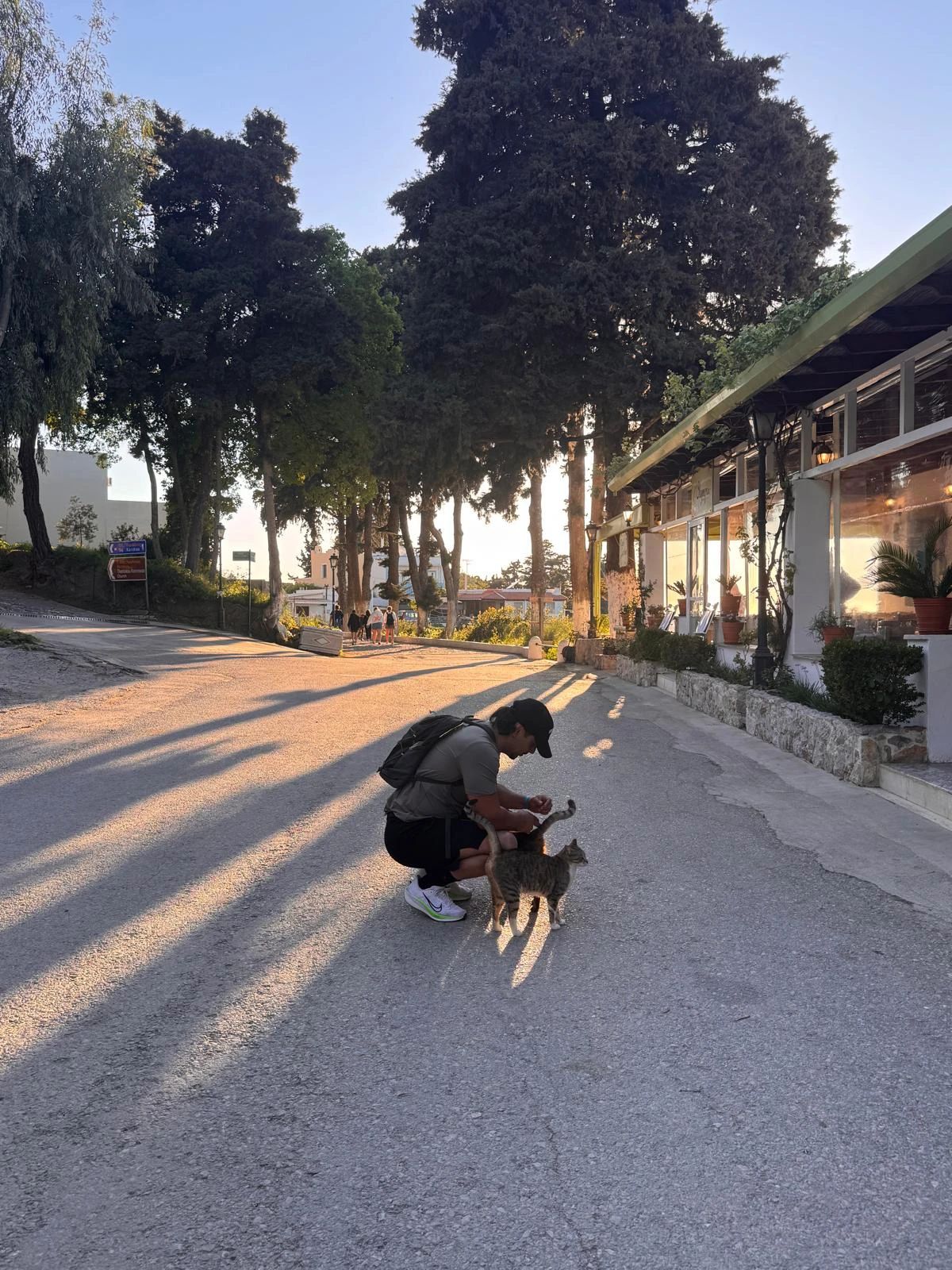 image-4