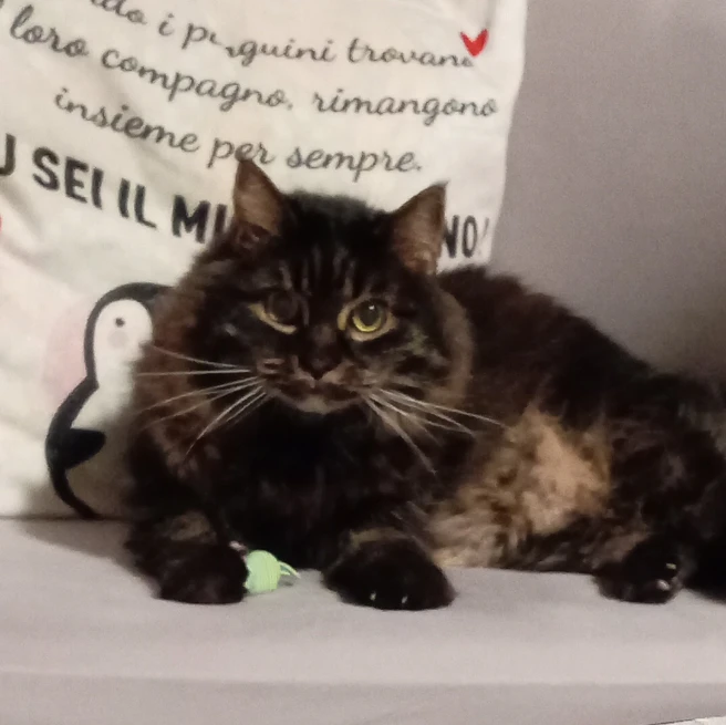 Salem 