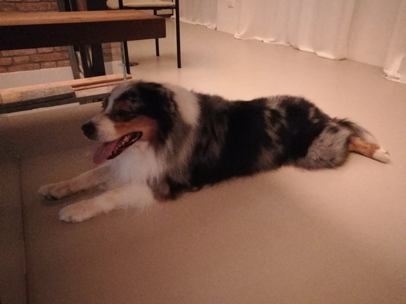 image-7