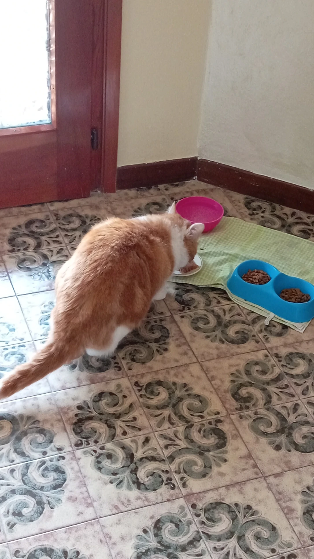 image-5