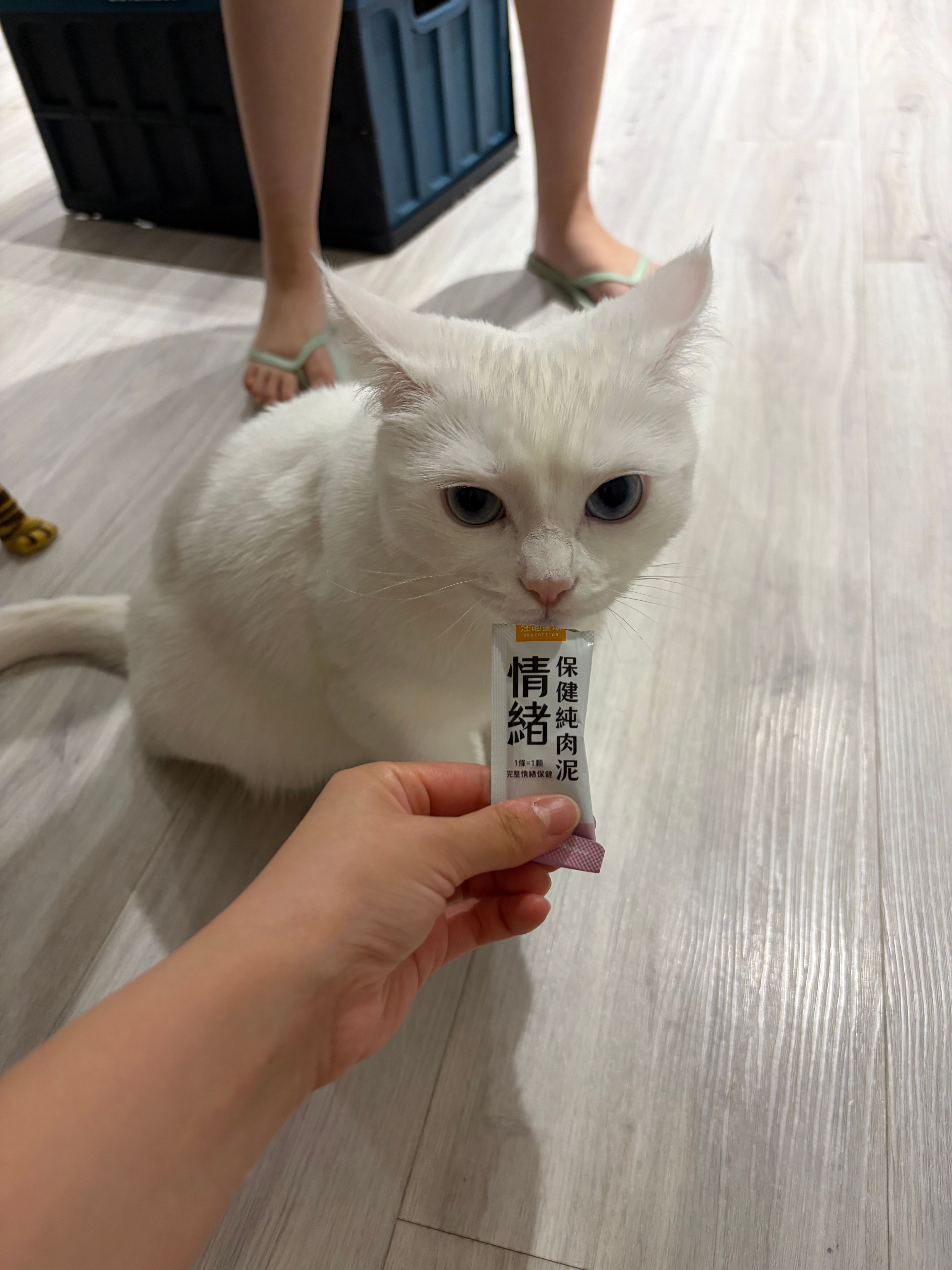 image-11