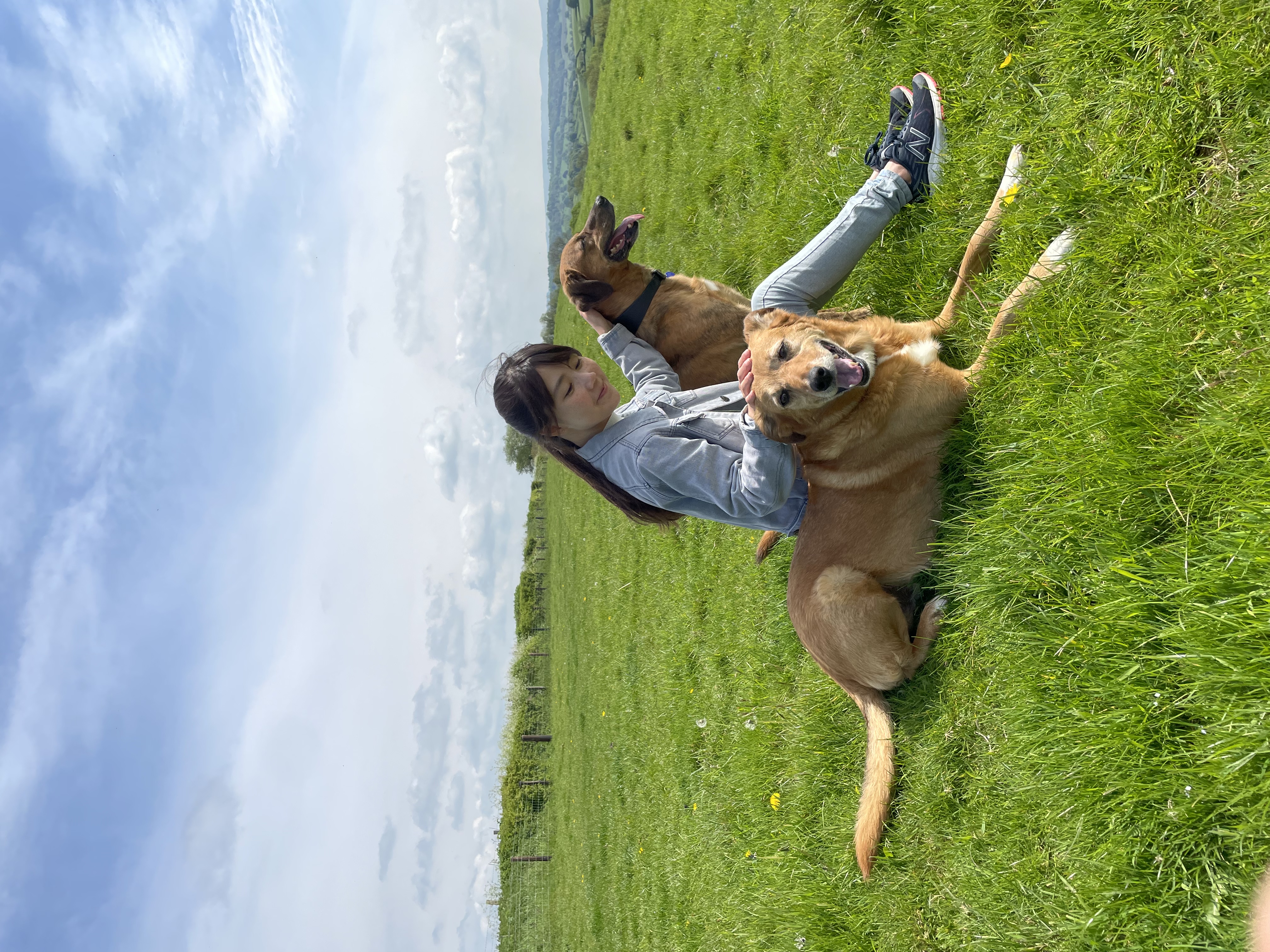 image-0