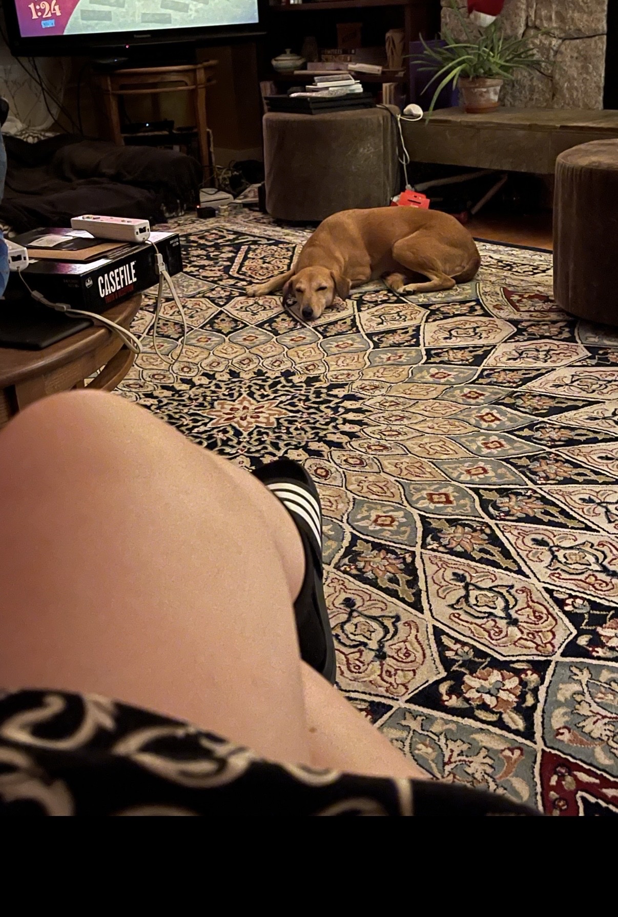 image-7