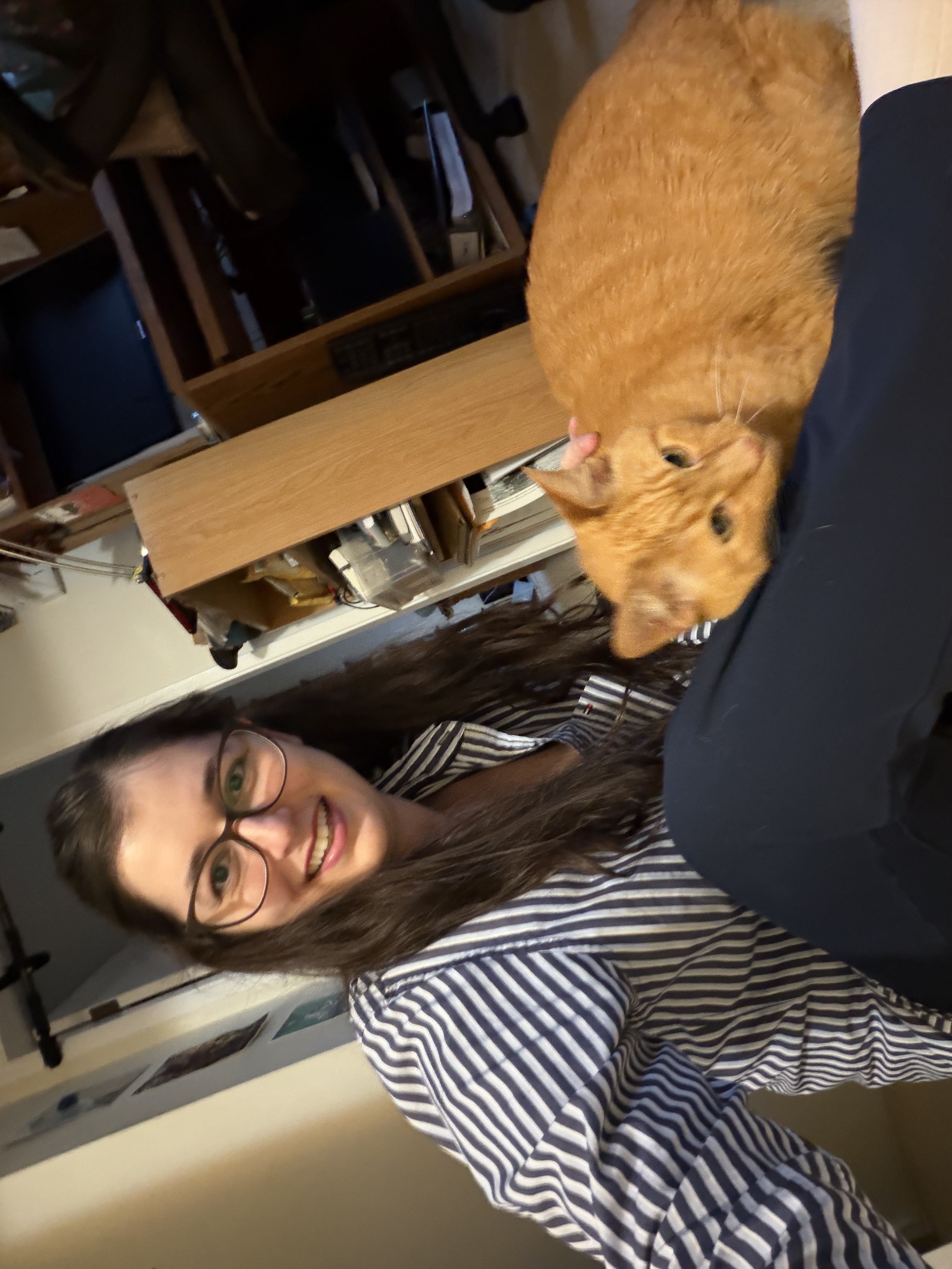 image-10