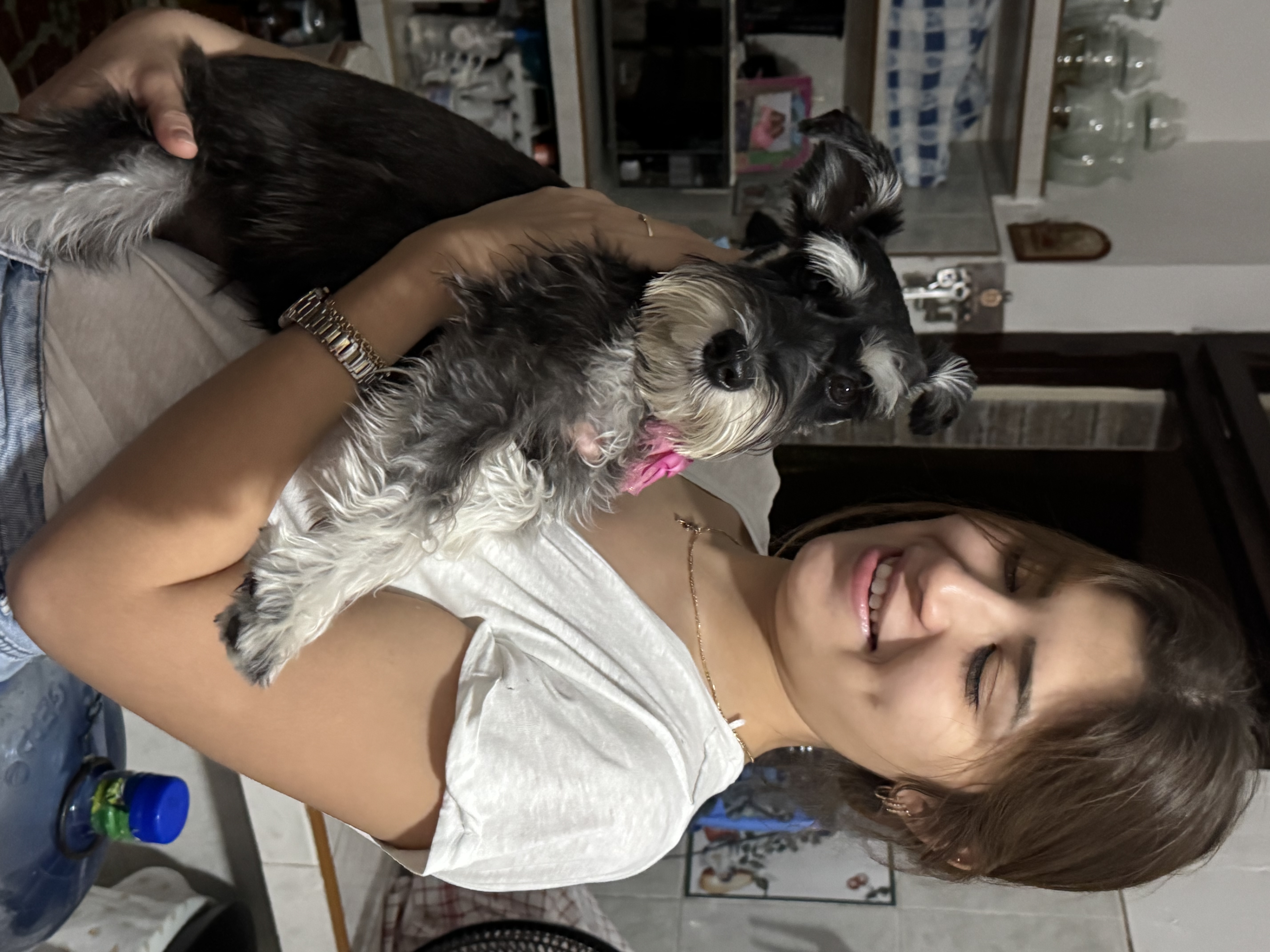 image-11