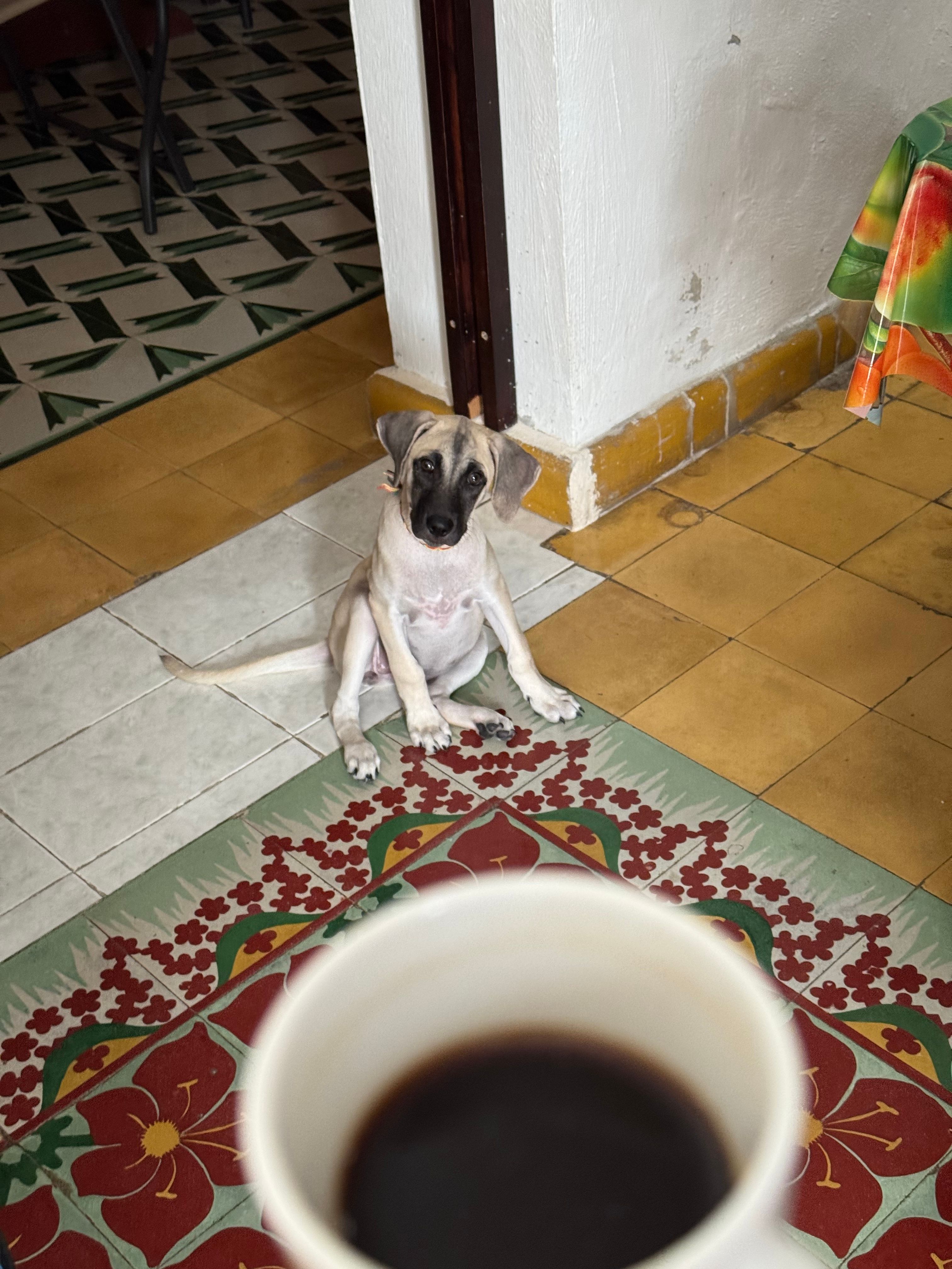 image-21