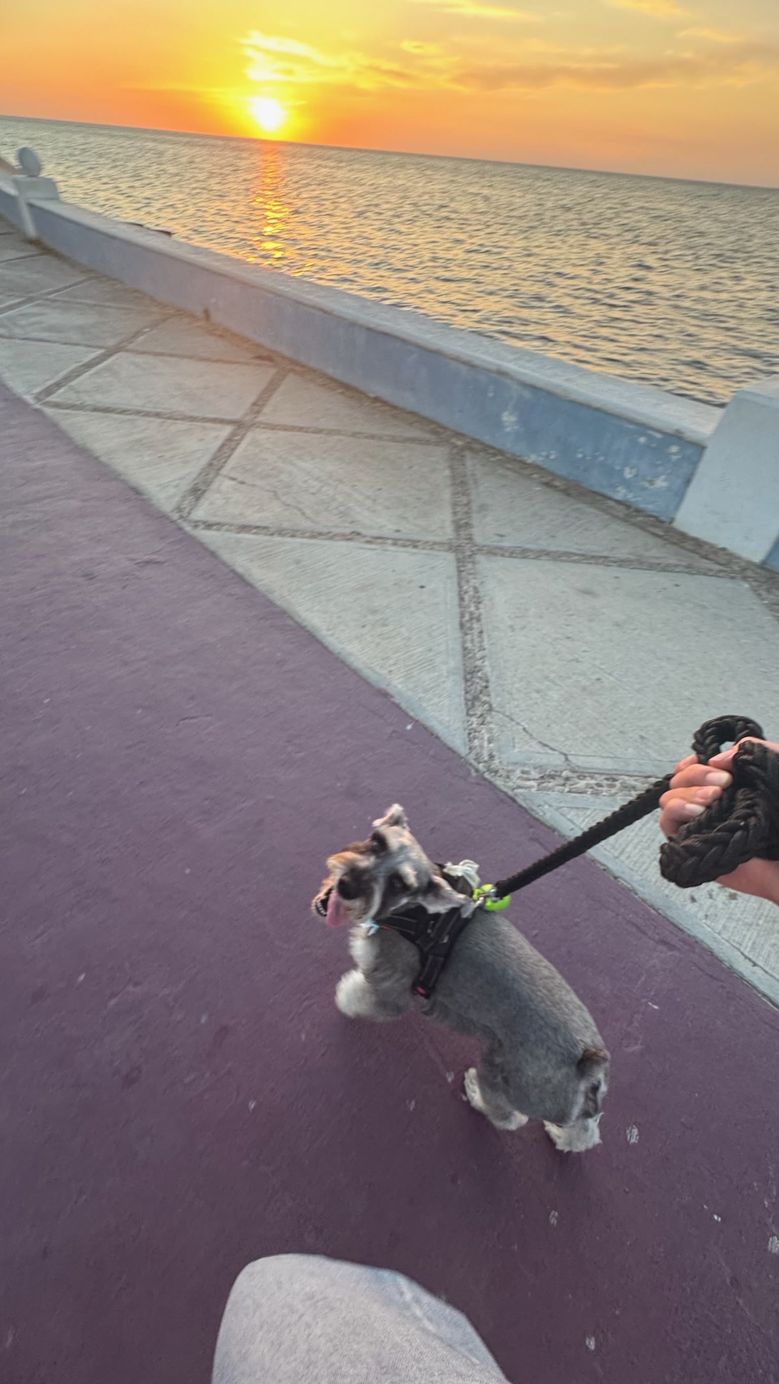 image-9
