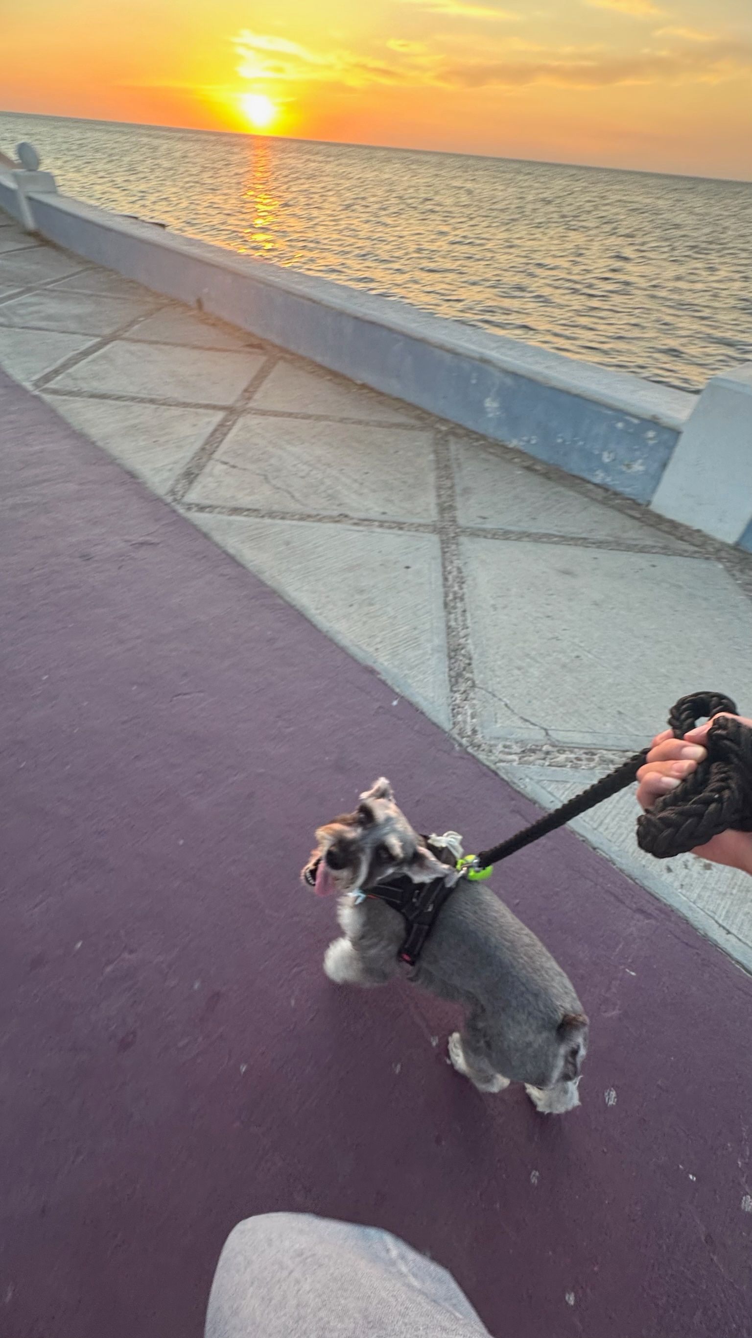 image-9