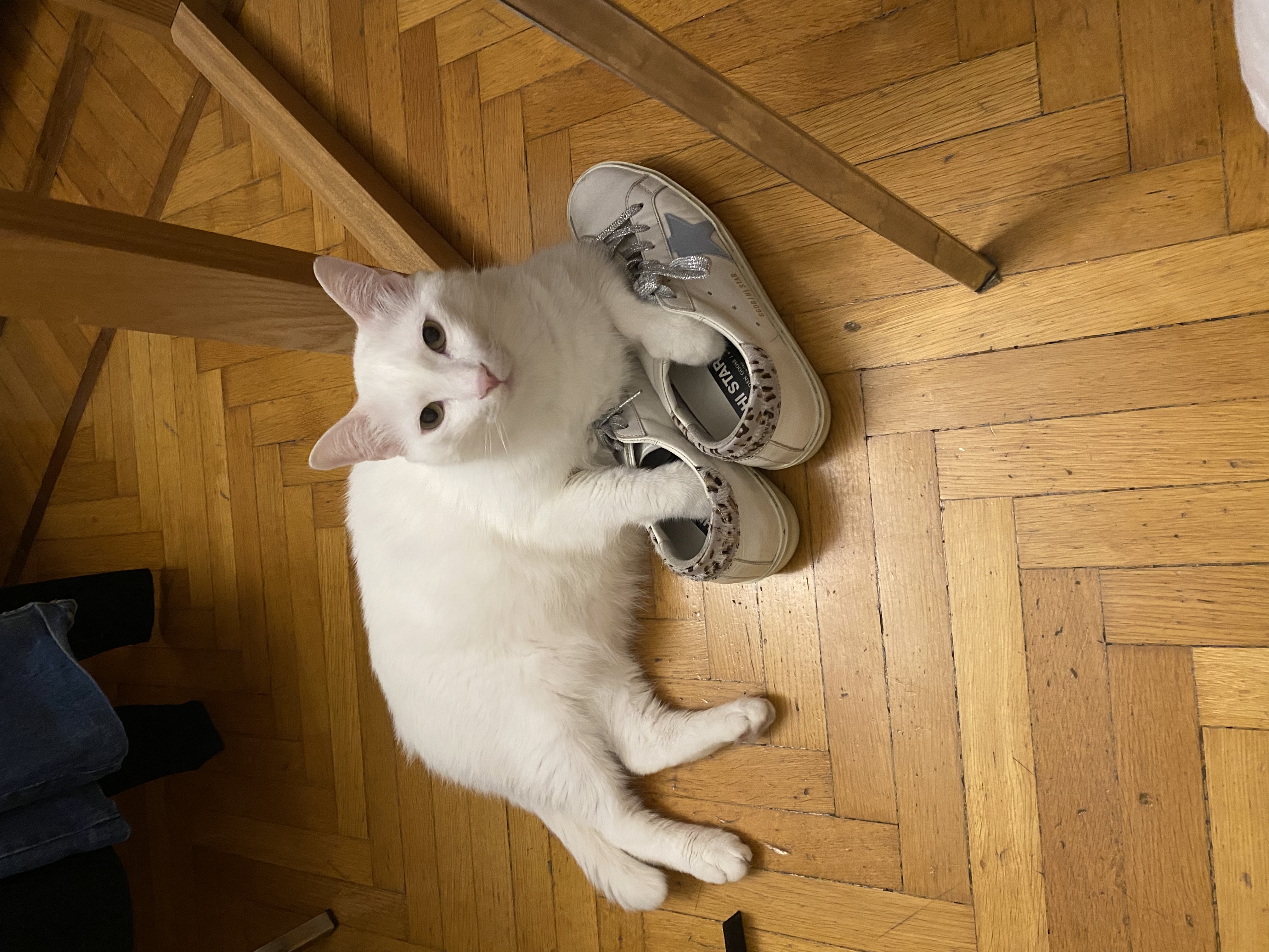 image-7
