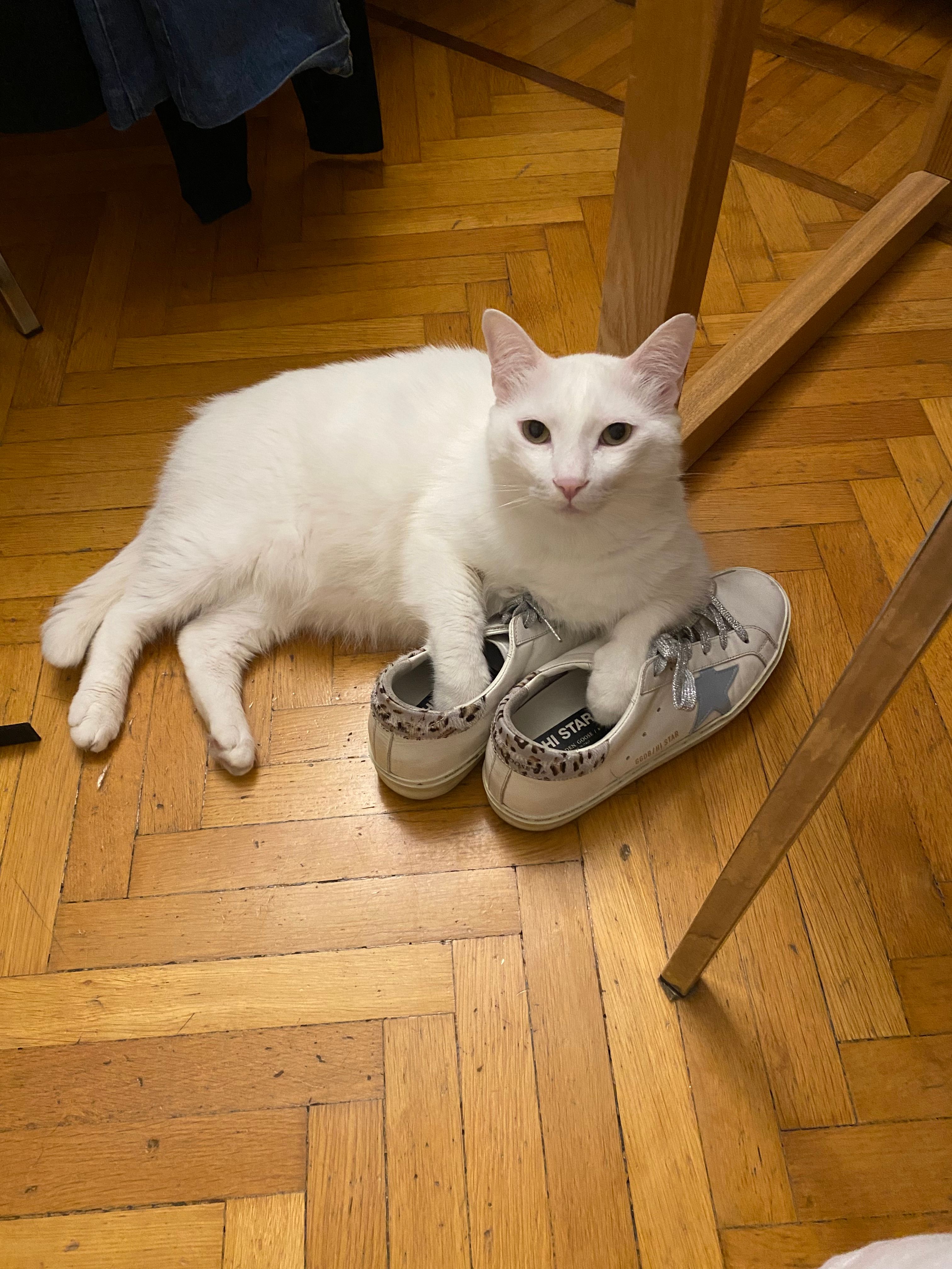 image-7
