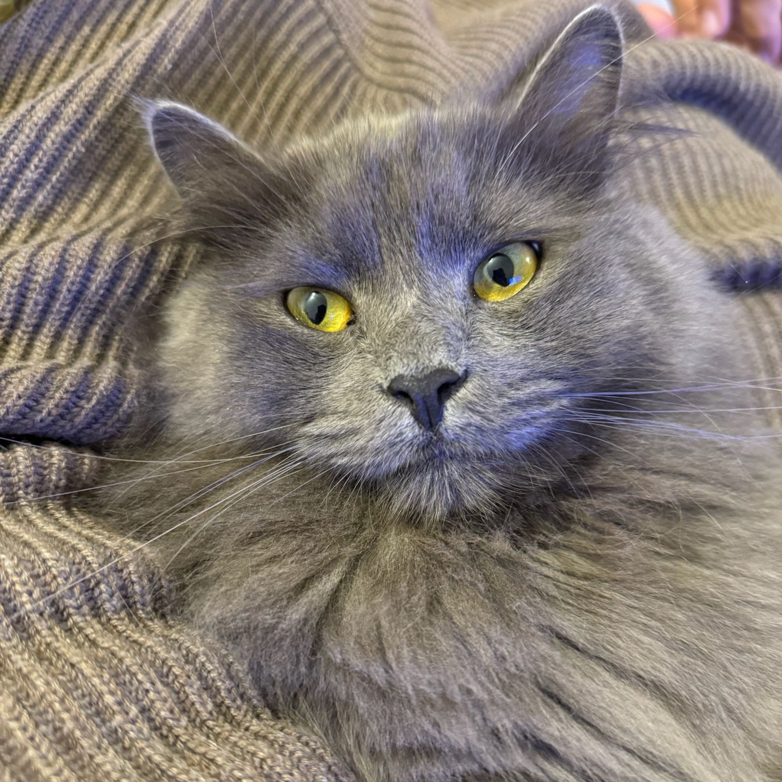 Ferdinando