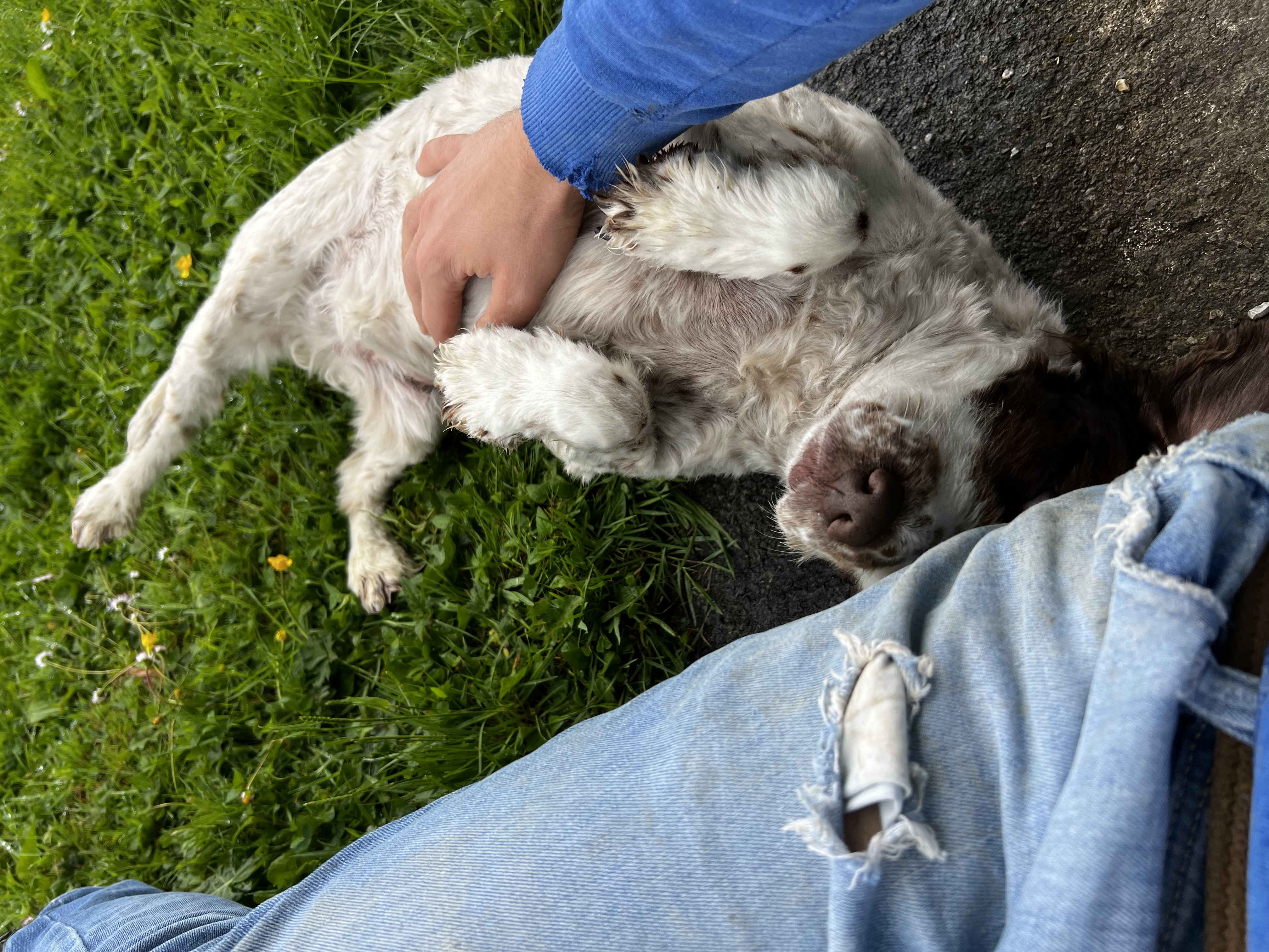 image-8