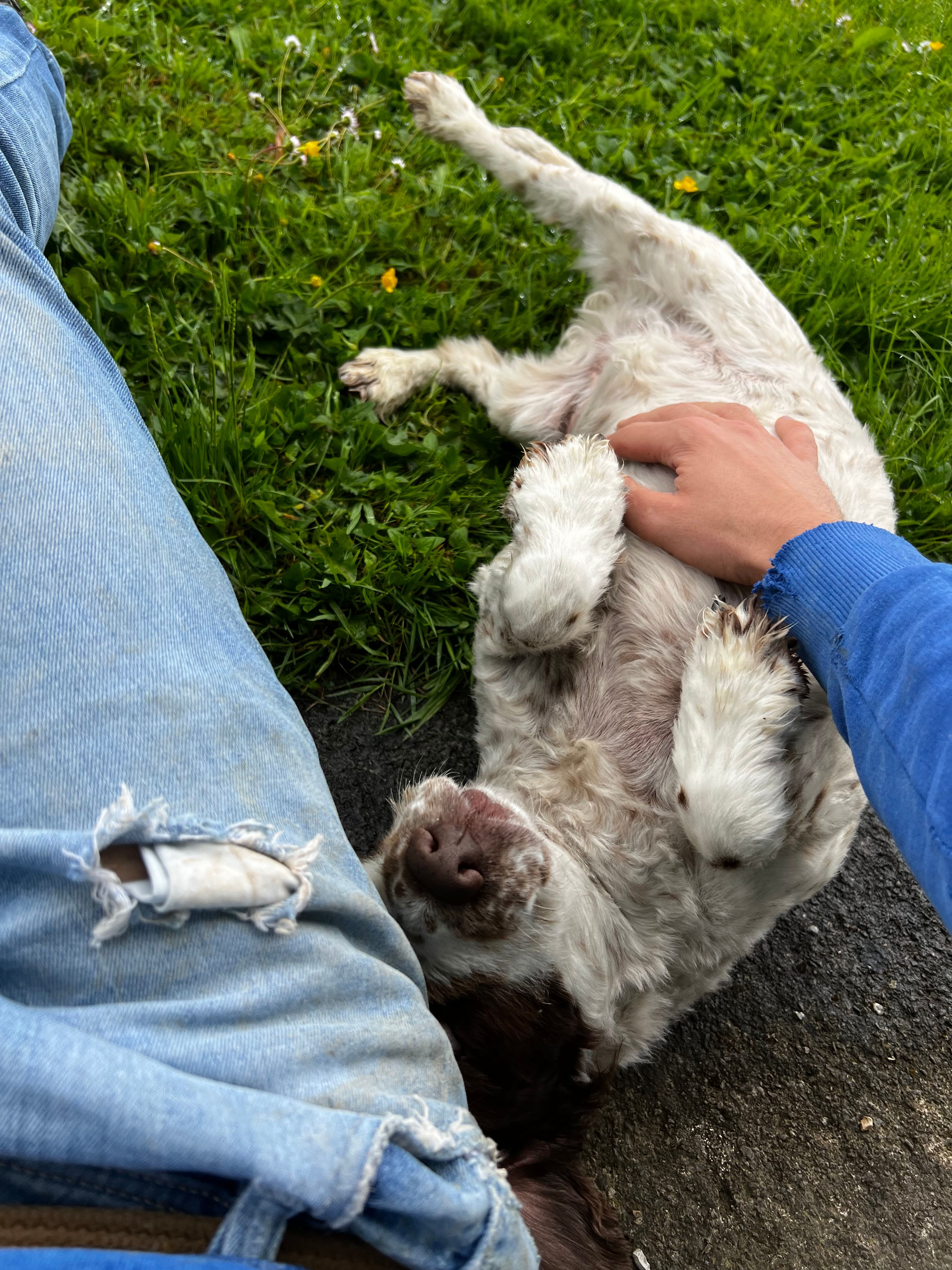 image-8