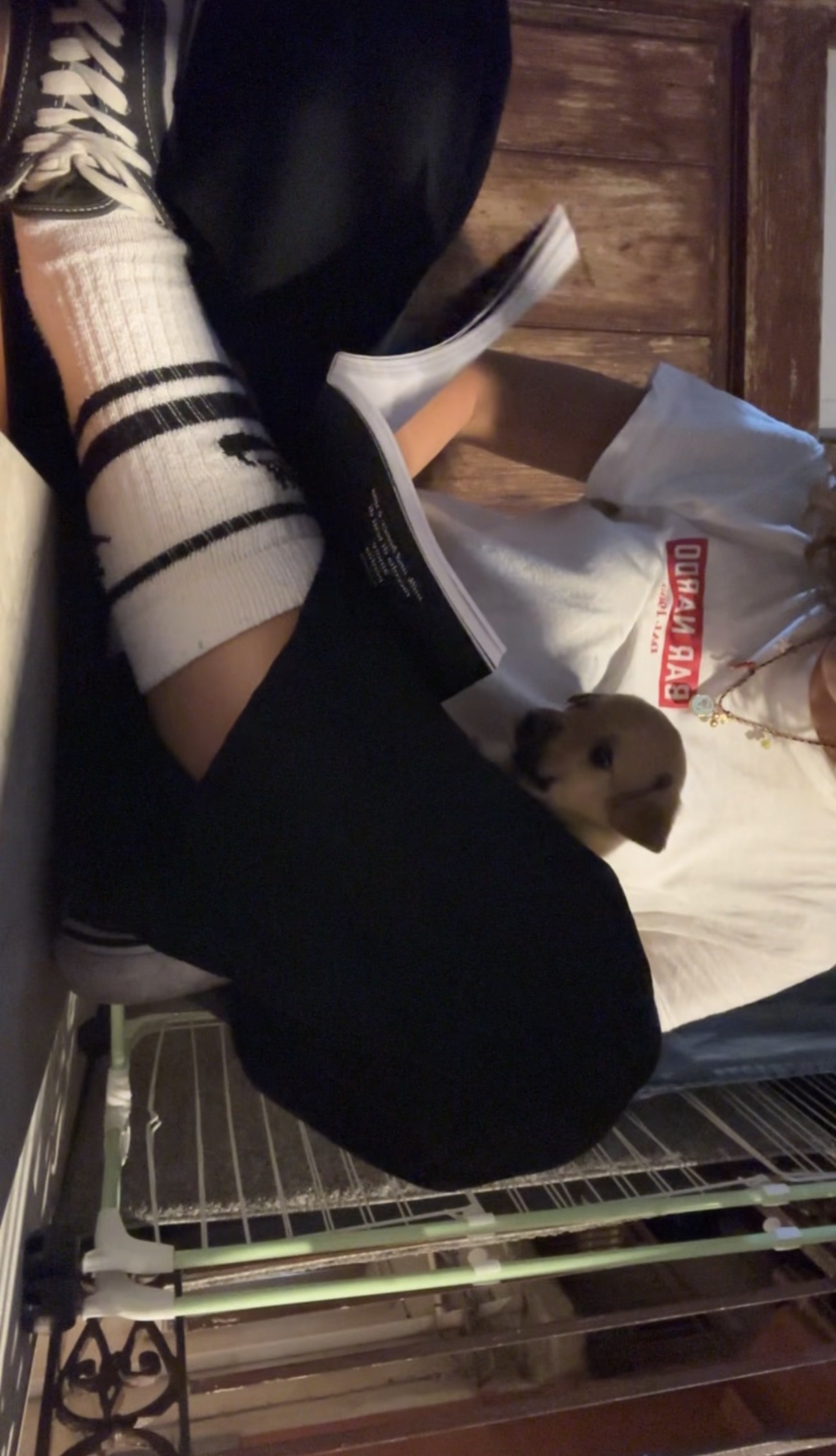 image-8