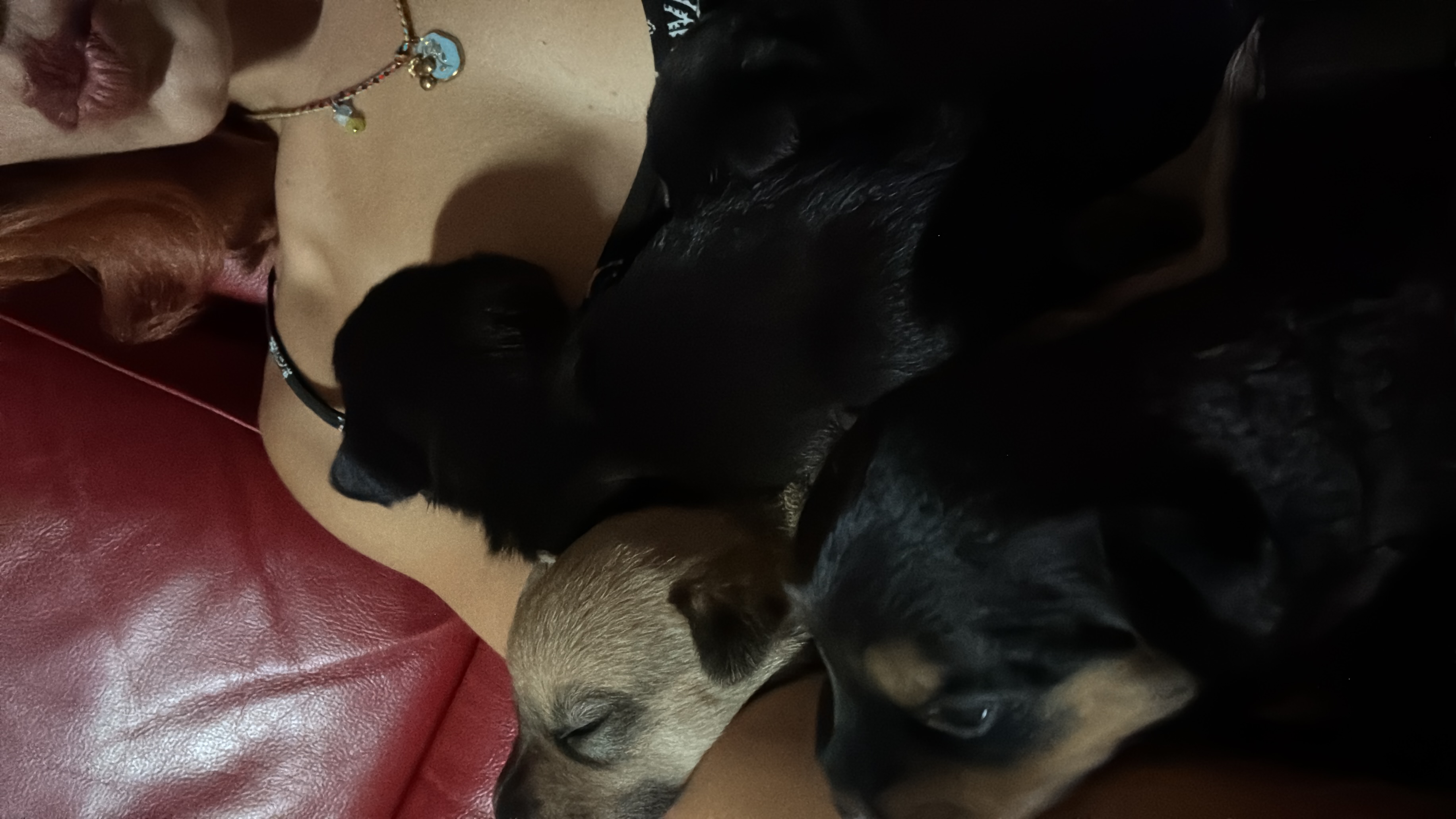 image-6