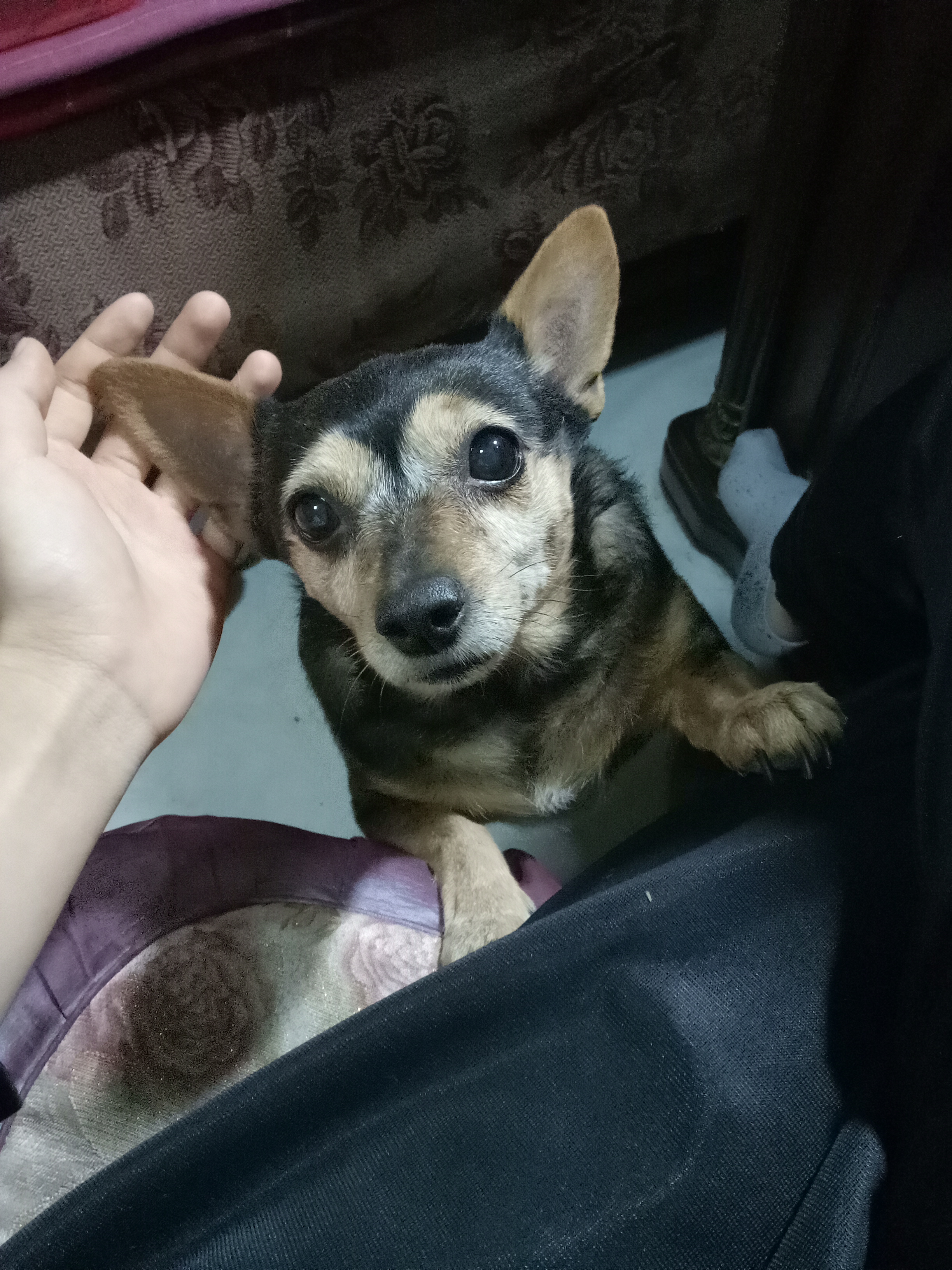 image-2