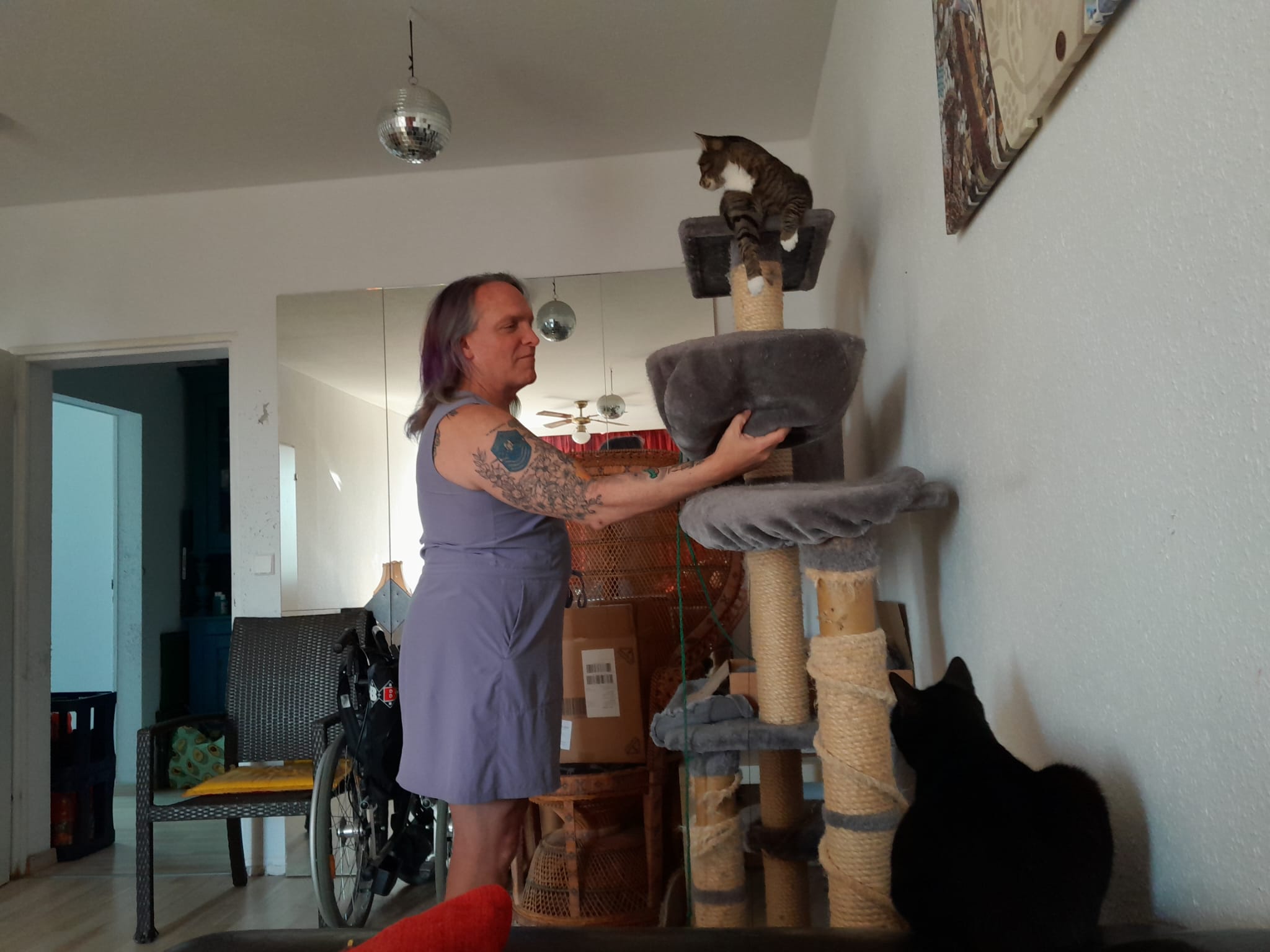image-5