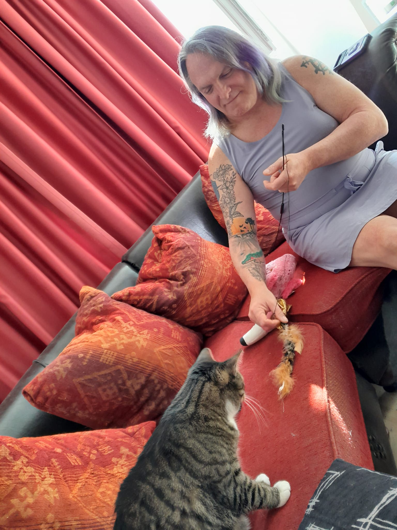 image-6