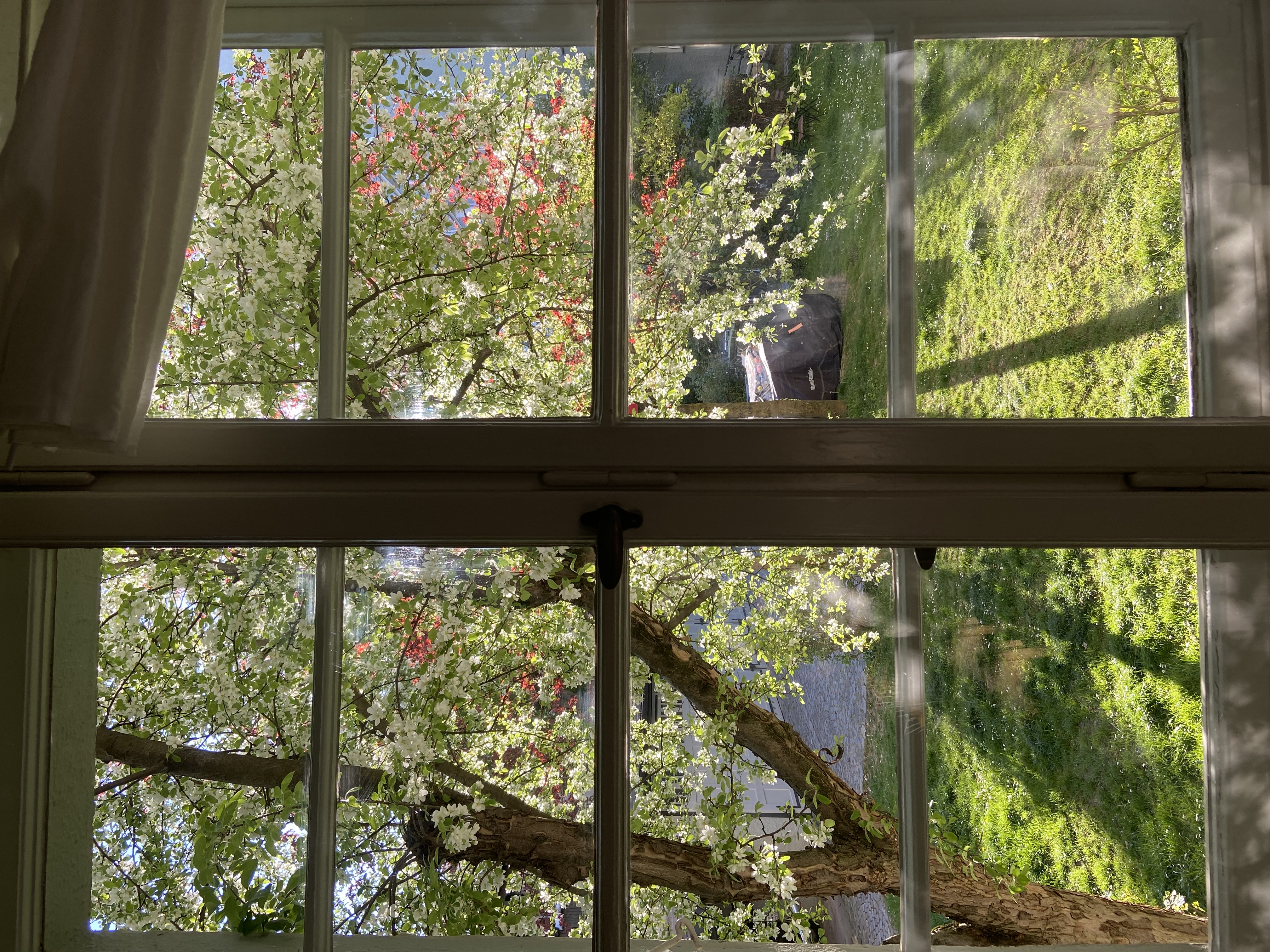 image-13