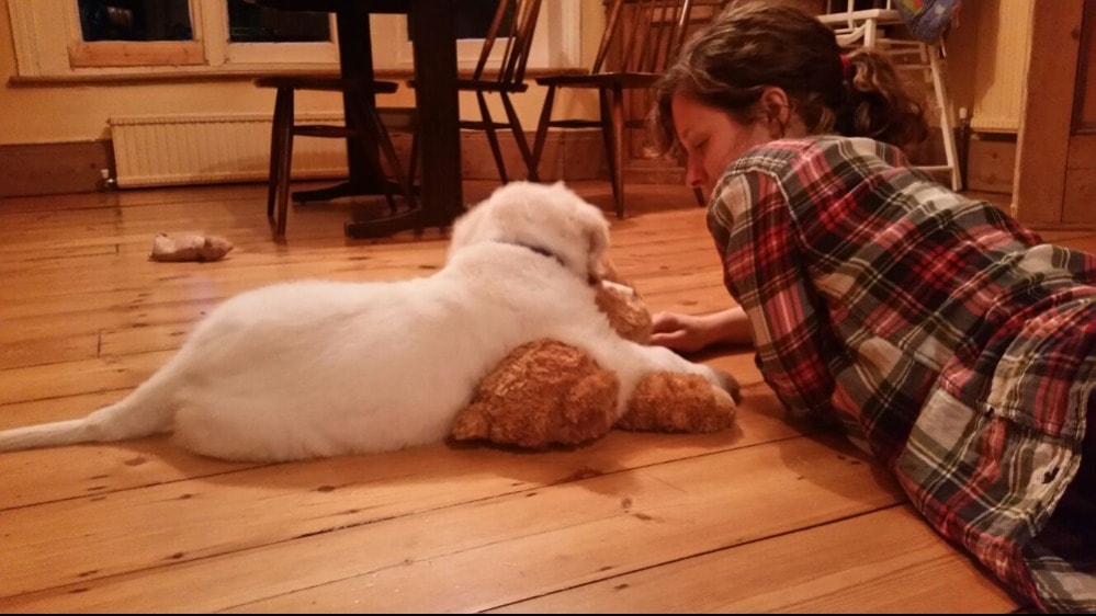 image-3