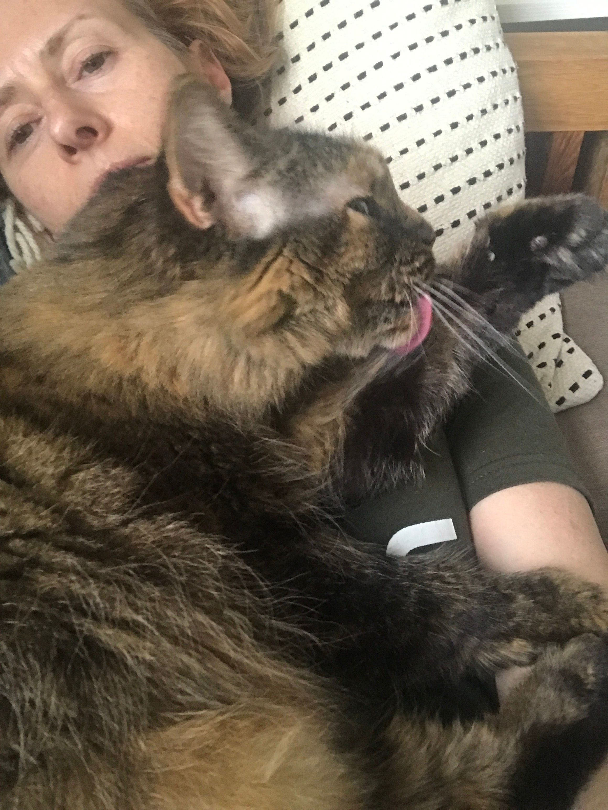 image-3