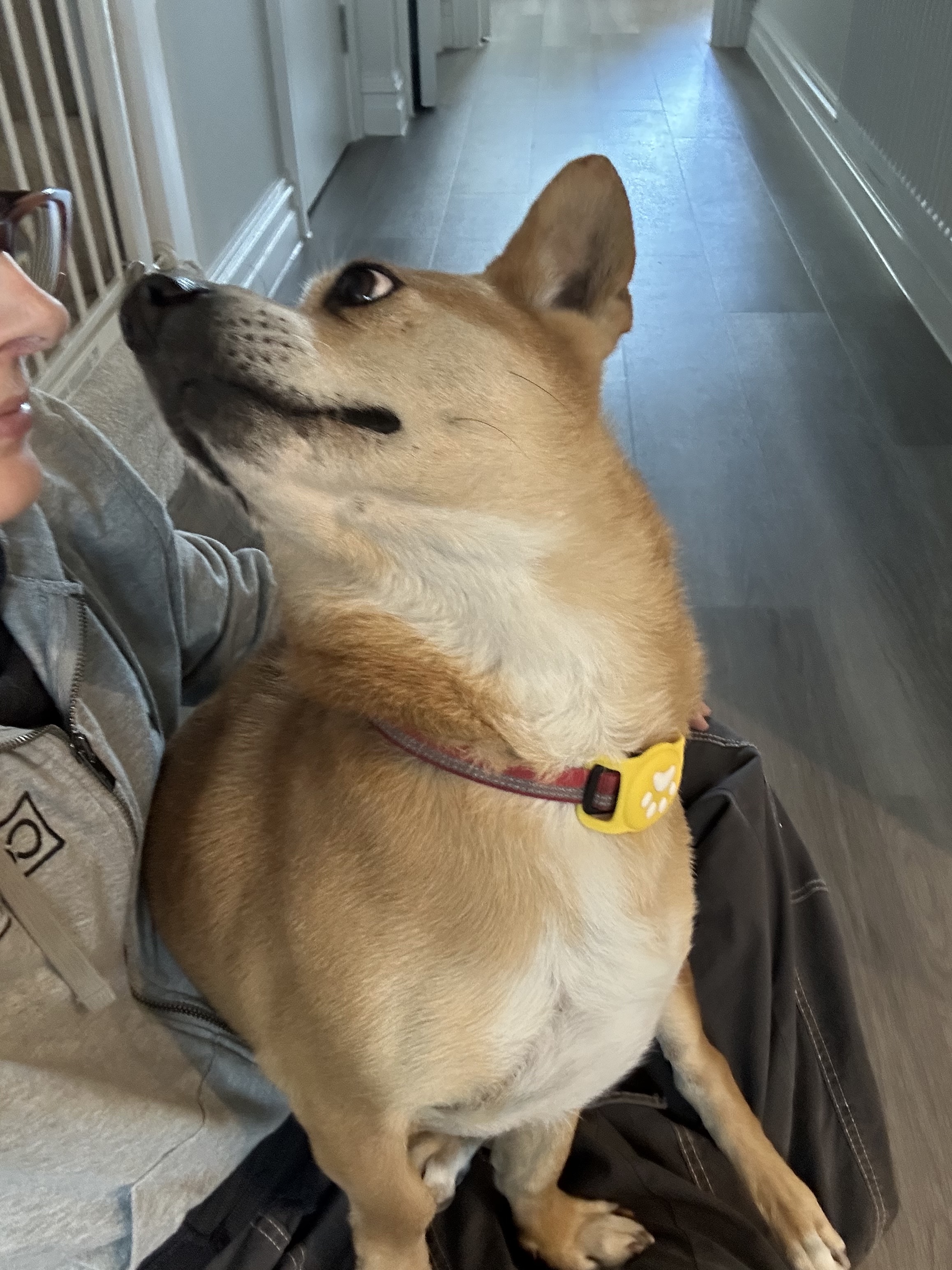 image-11