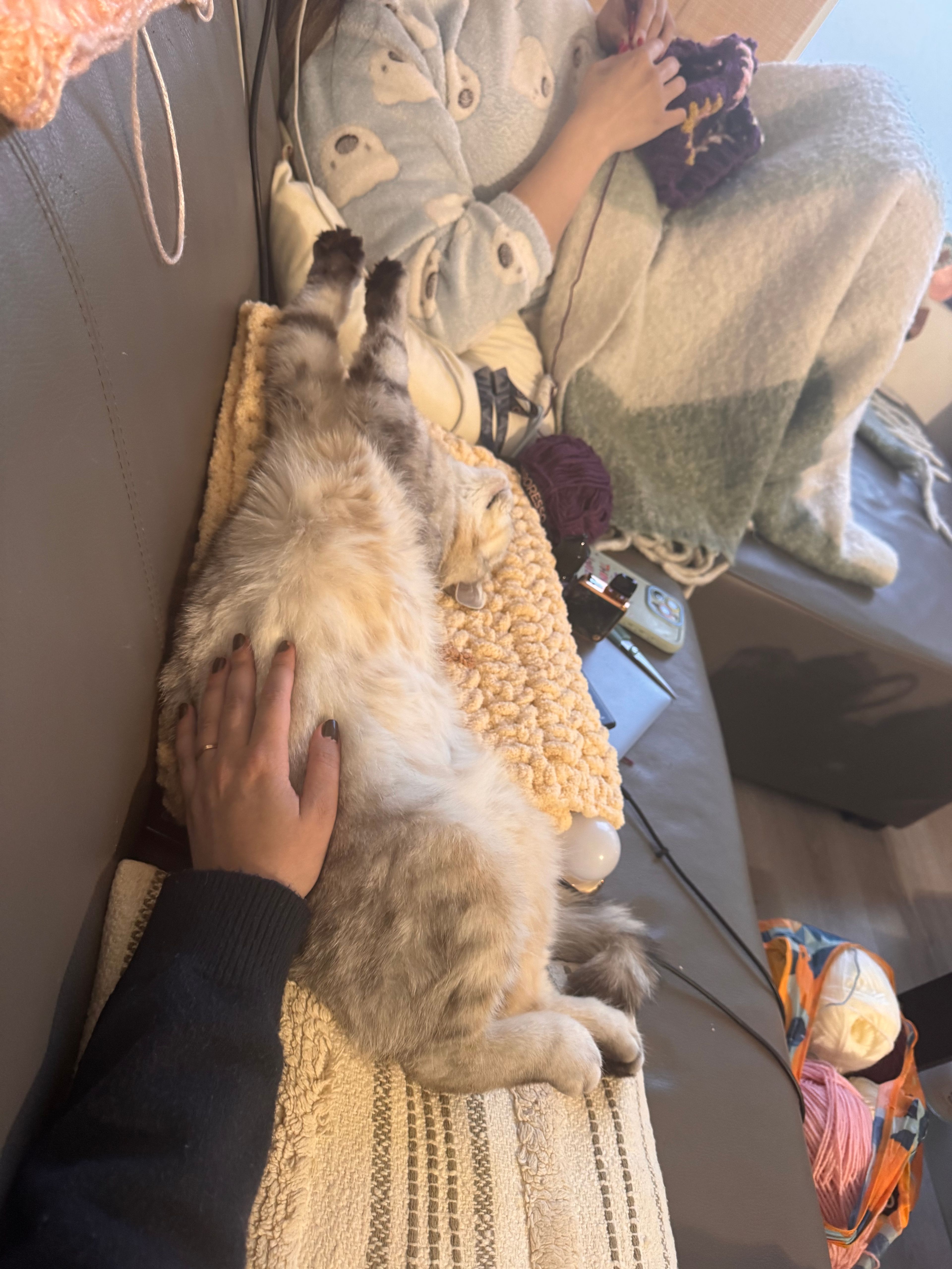 image-6